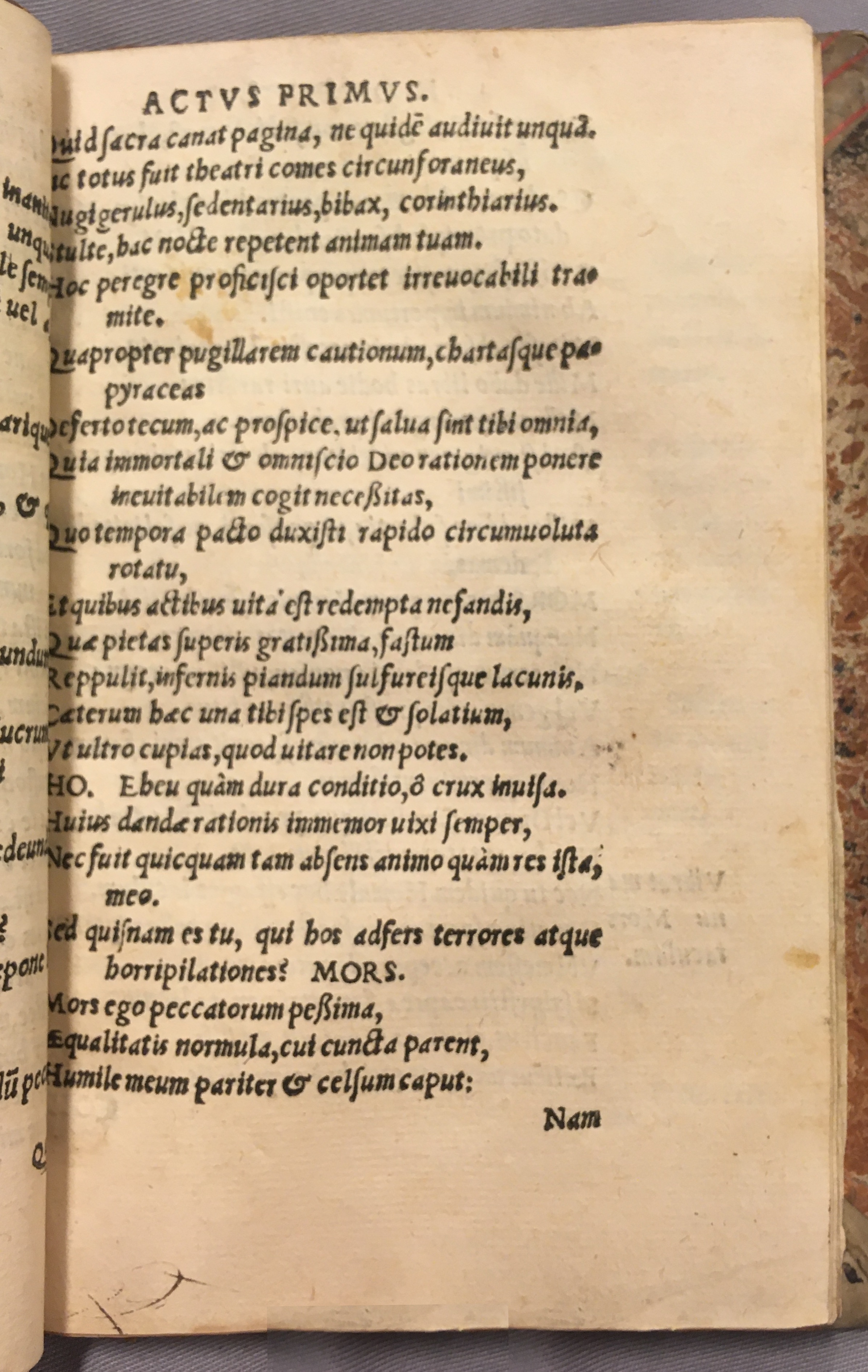 IschyriusHomulus1538p13.jpg