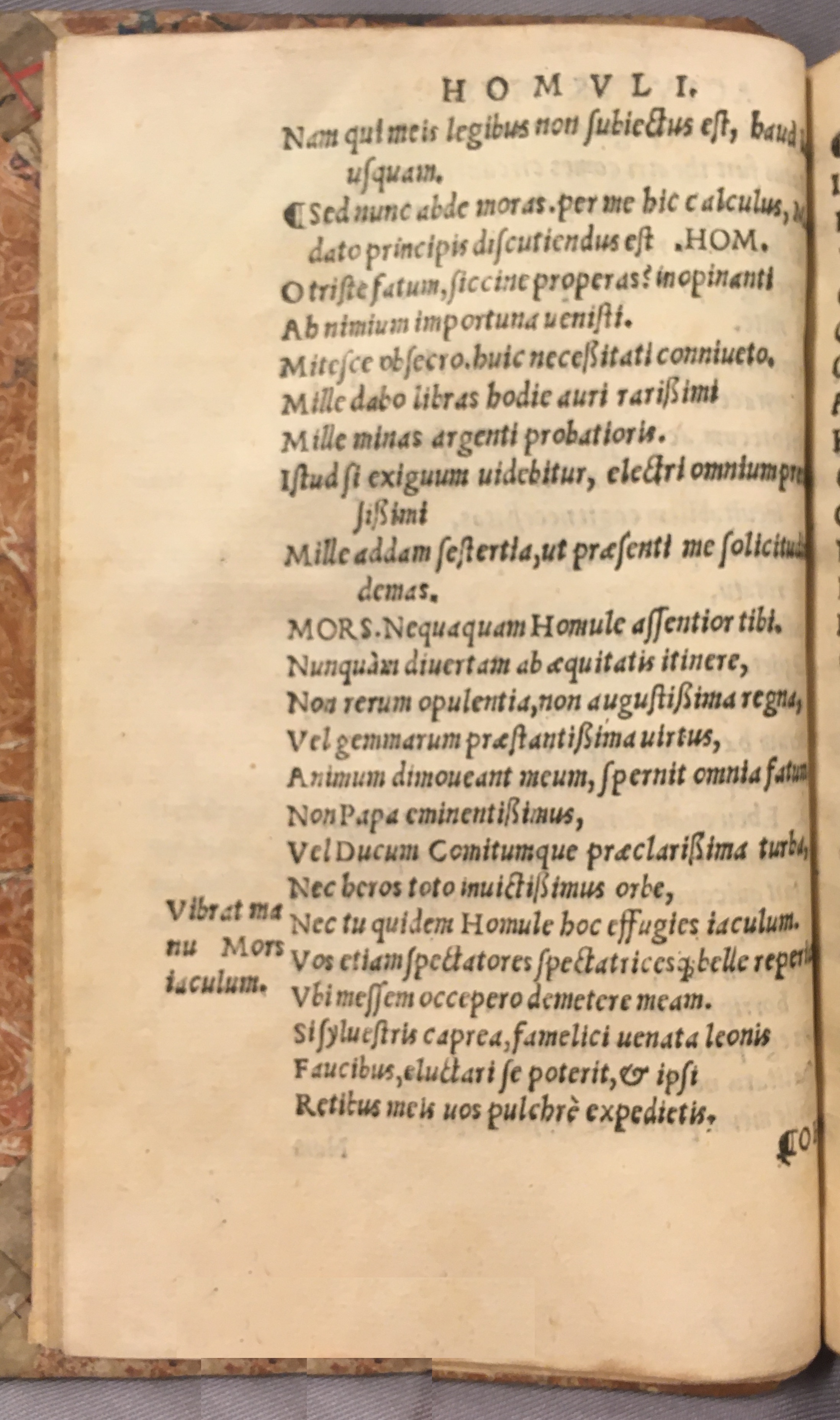 IschyriusHomulus1538p14.jpg