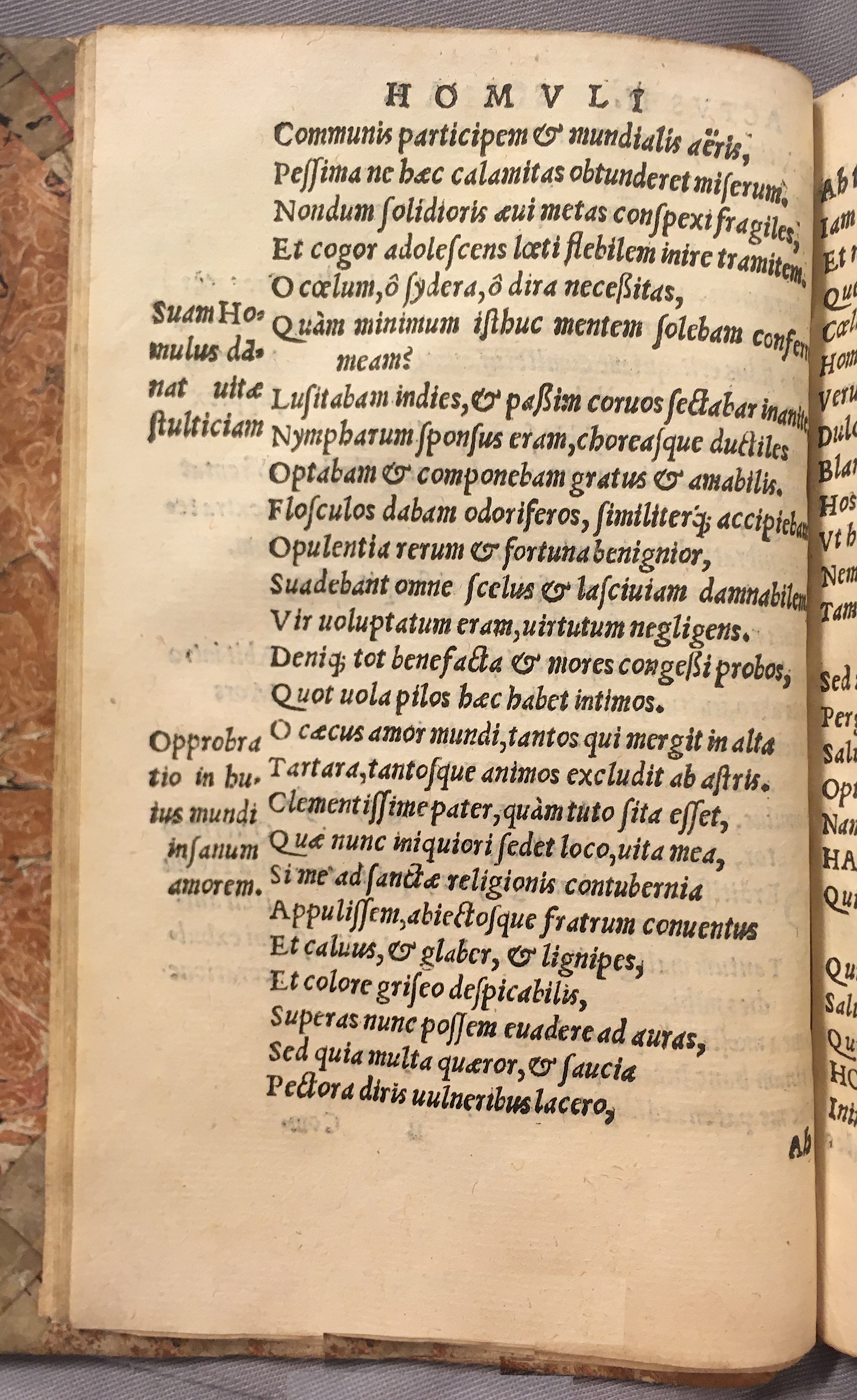 IschyriusHomulus1538p18.jpg