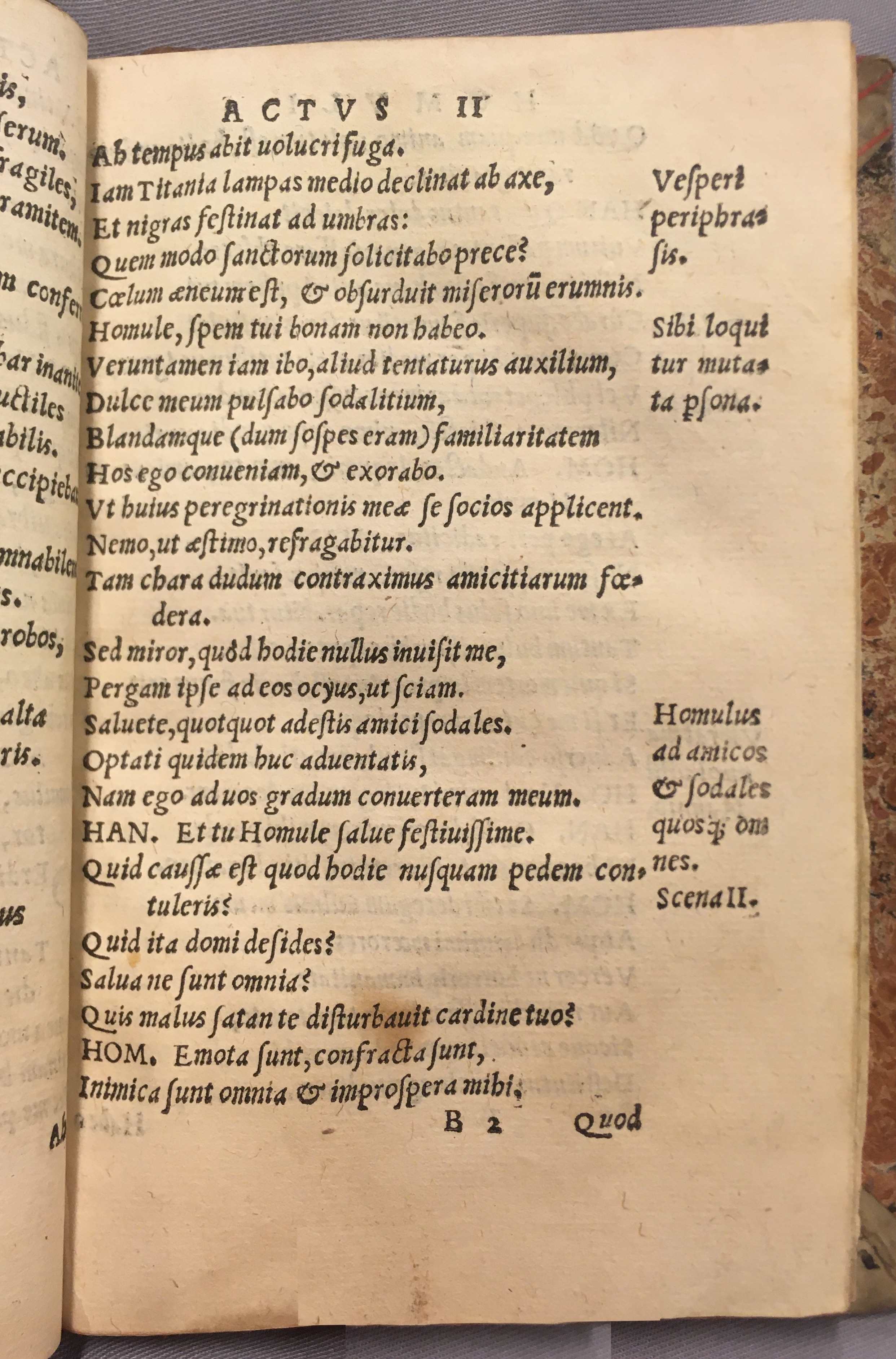 IschyriusHomulus1538p19