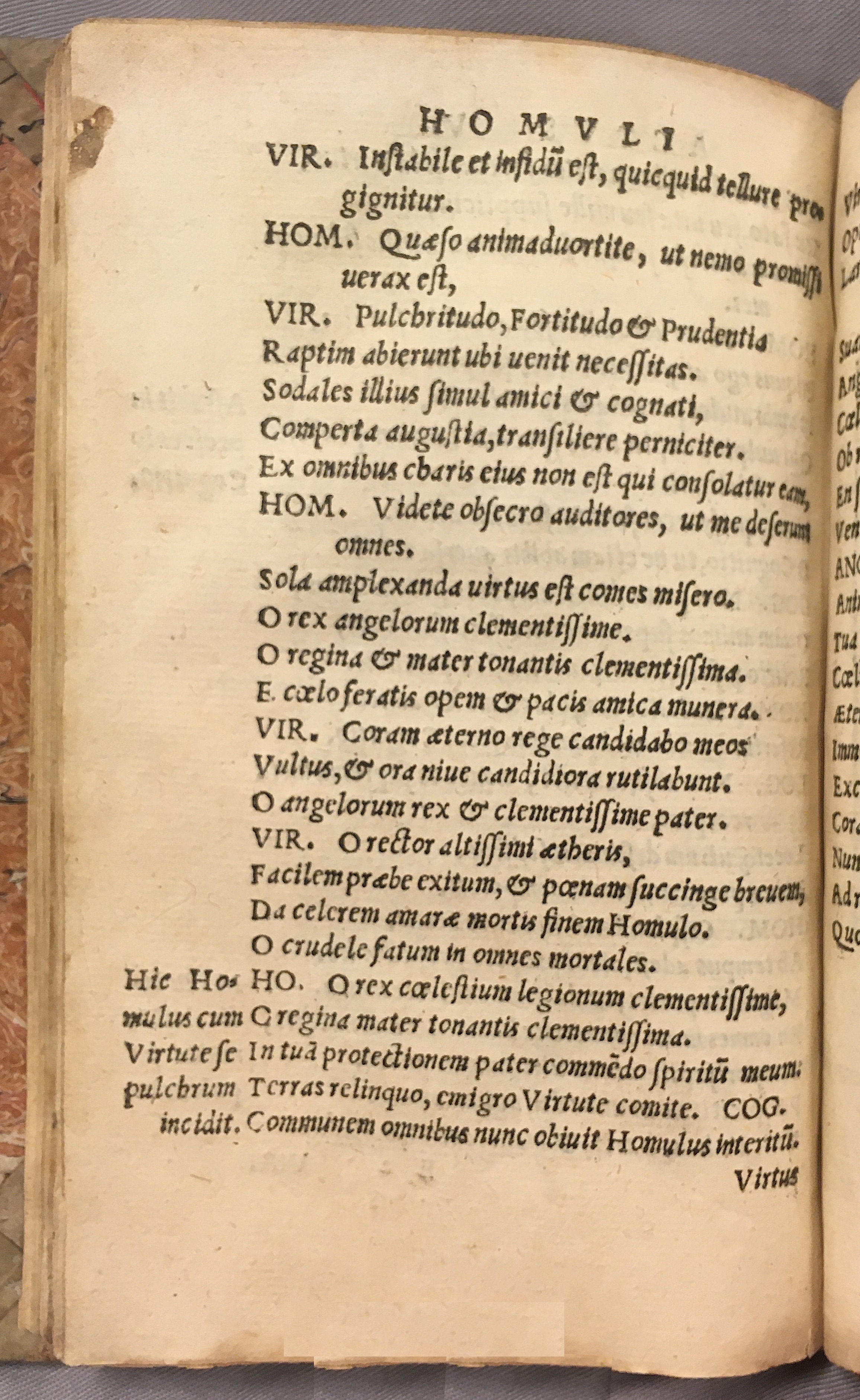 IschyriusHomulus1538p68