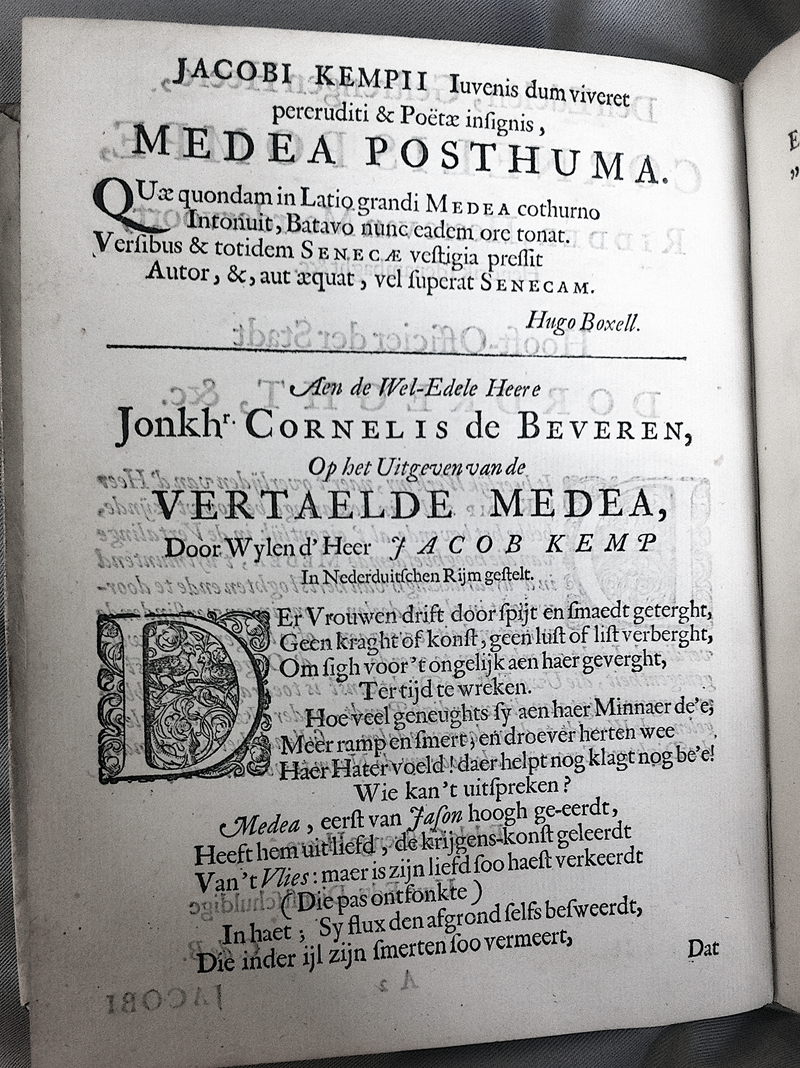 KempMedea166504.jpg