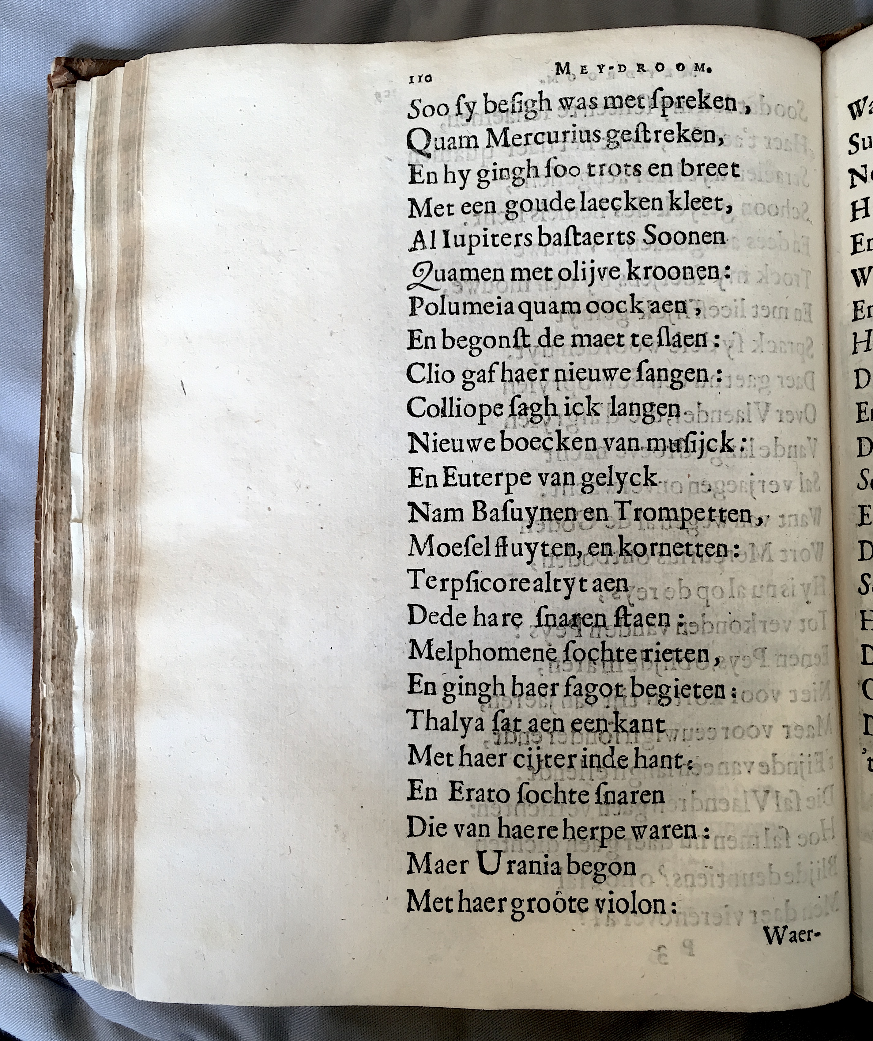 LambrechtVrede1659p110.jpg