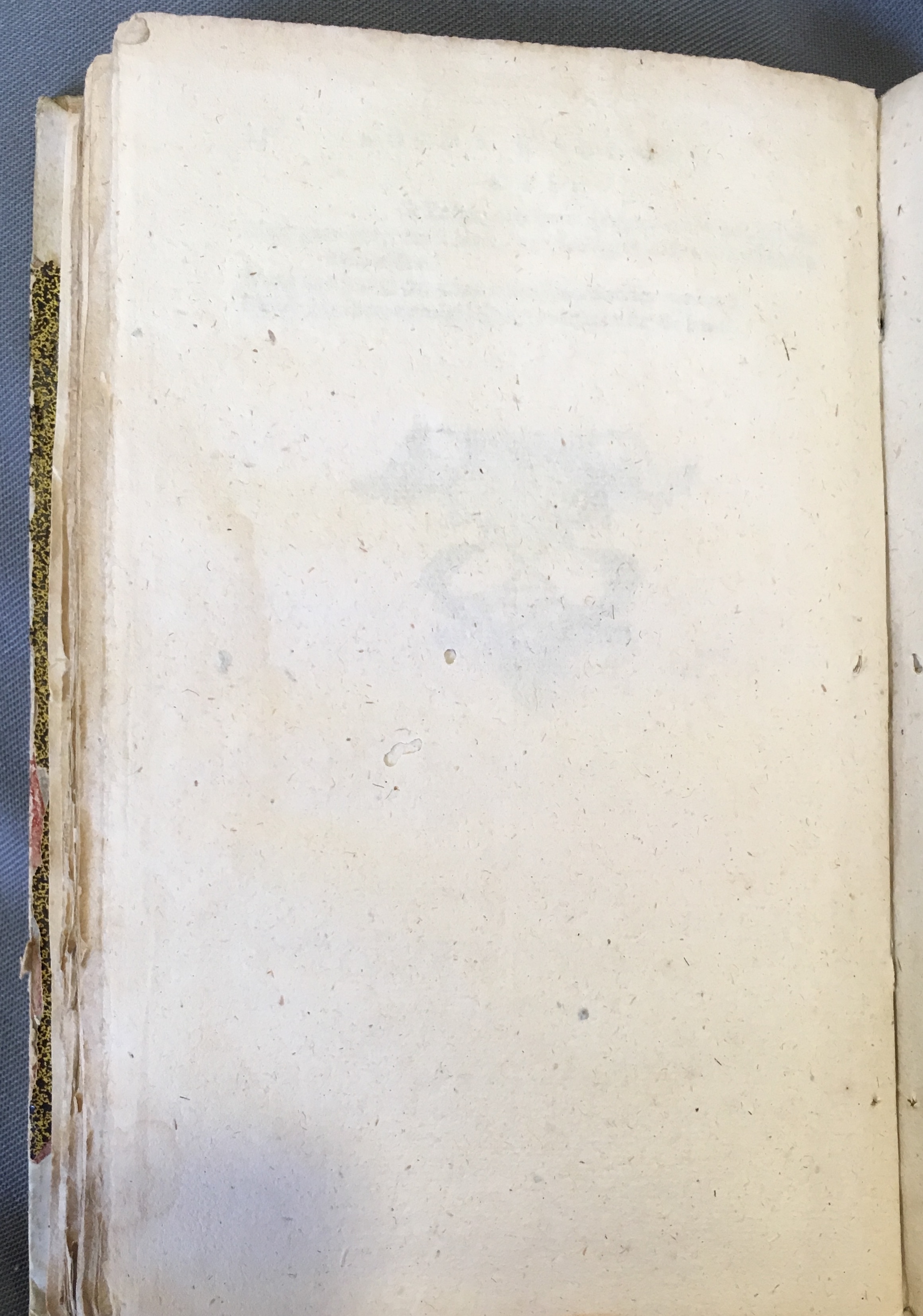 LemmersKoopman1682p30.jpg