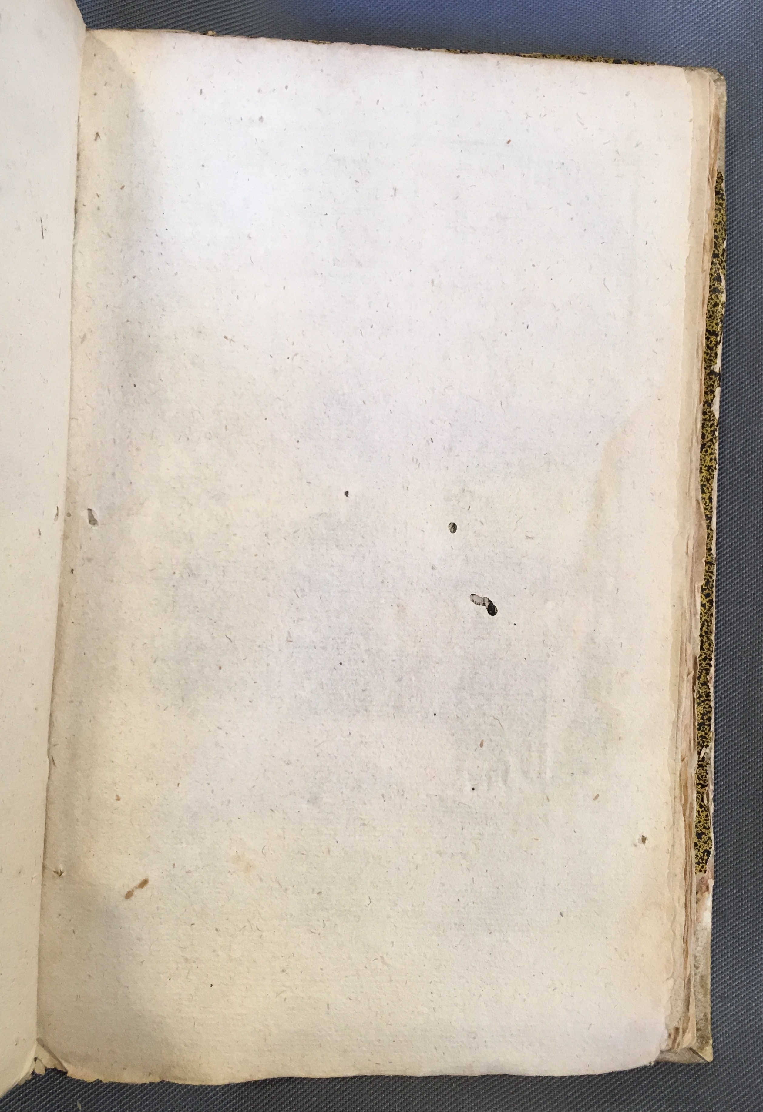 LemmersKoopman1682p31.jpg