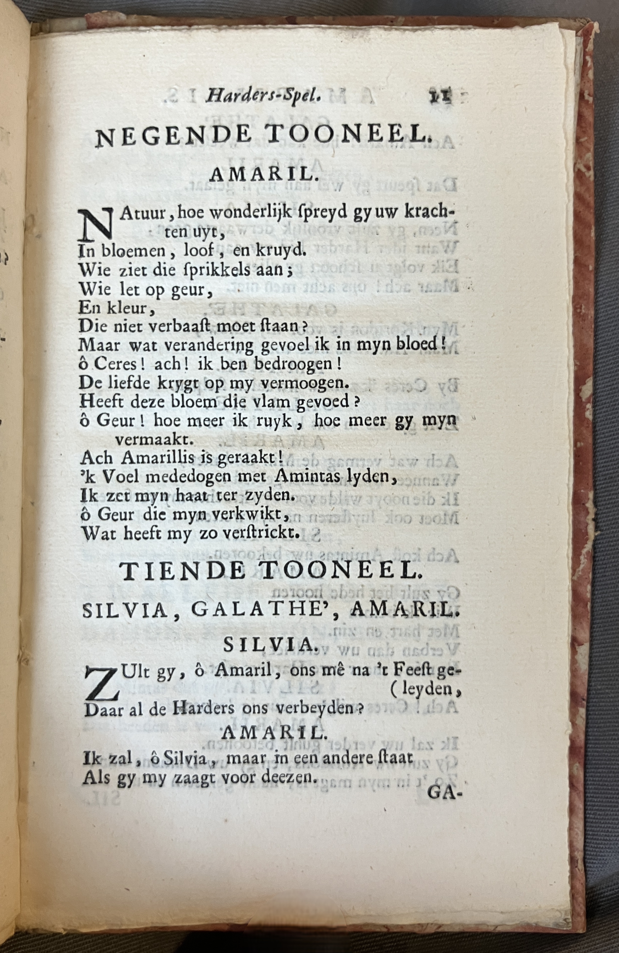 LingelbachAmarillis1713ca11