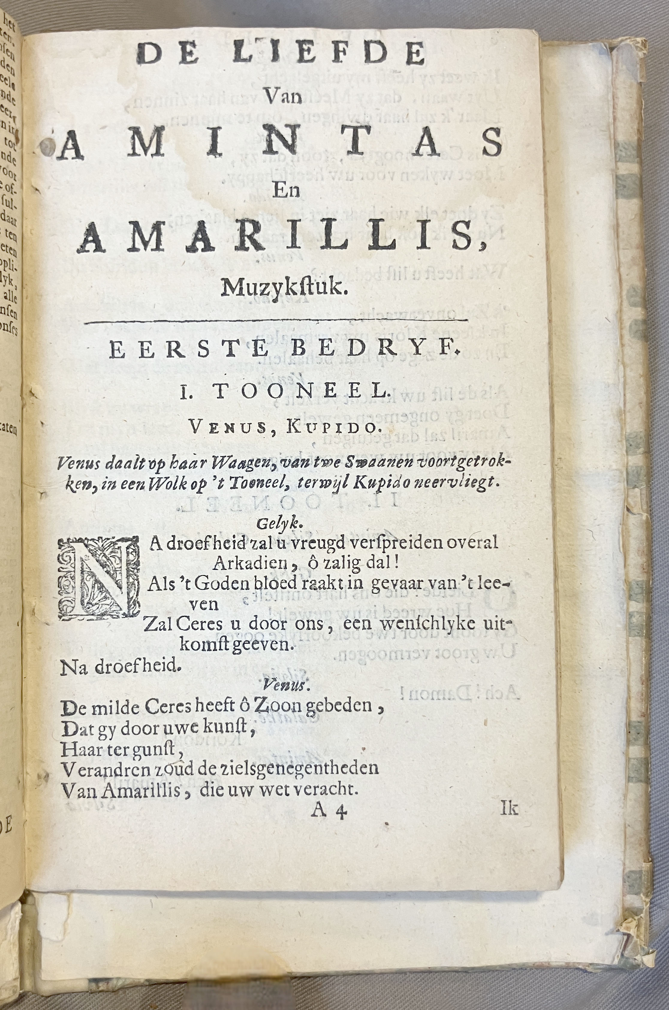 LingelbachAmintasAmarillis1686p07
