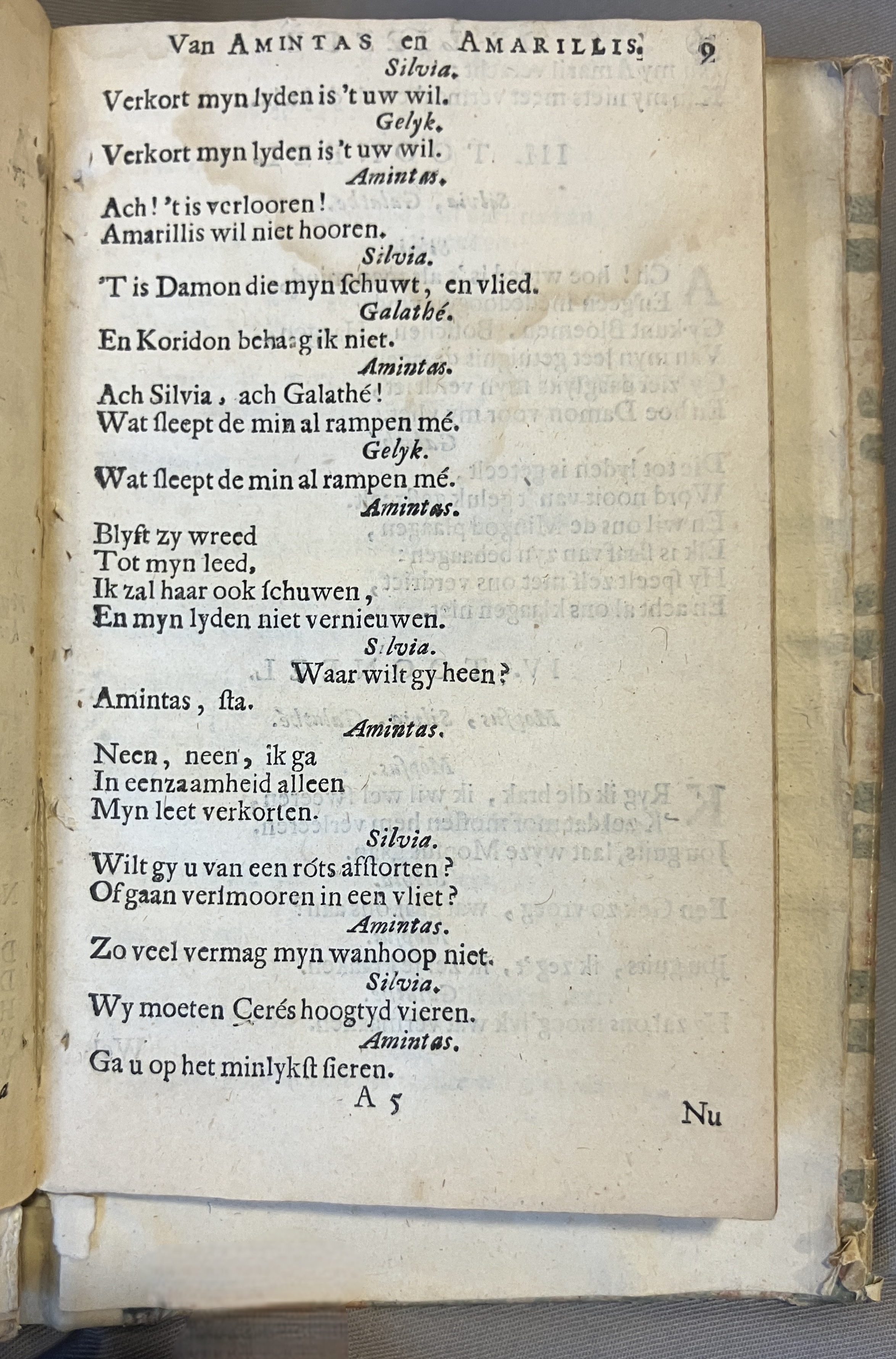 LingelbachAmintasAmarillis1686p09