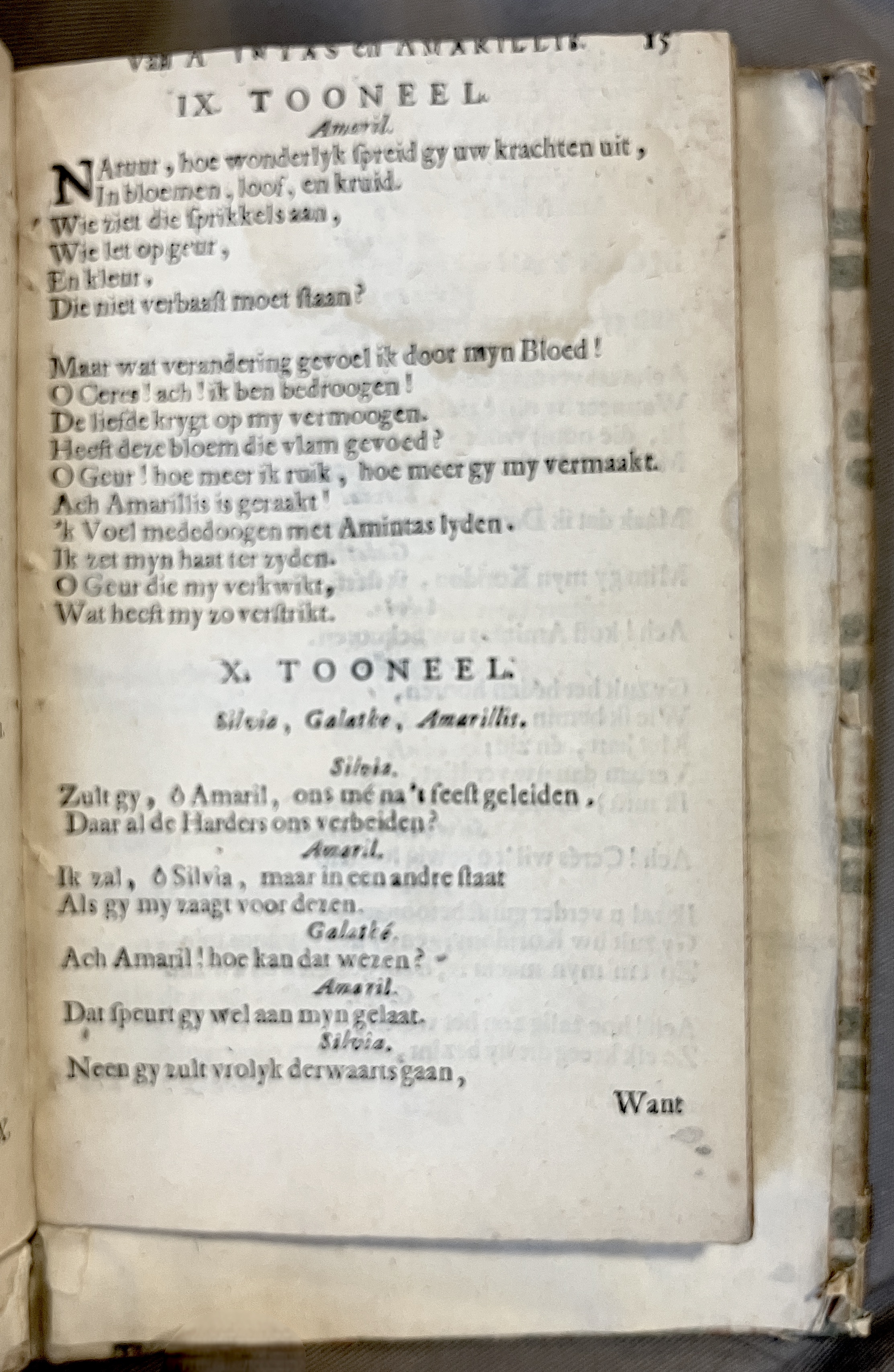 LingelbachAmintasAmarillis1686p15