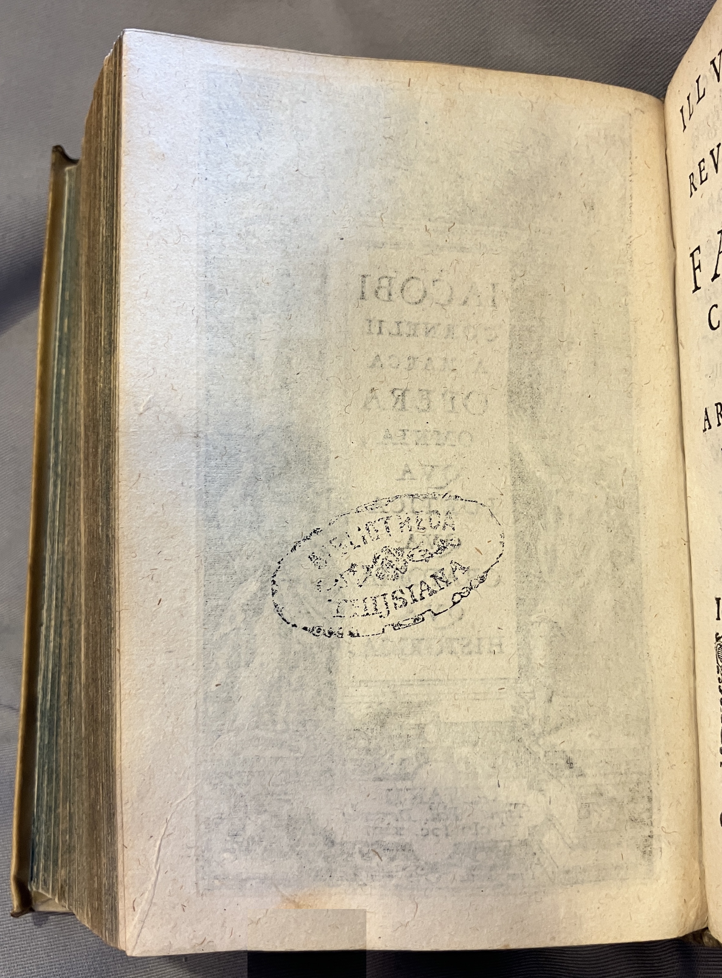 AMarcaOpera1613a02