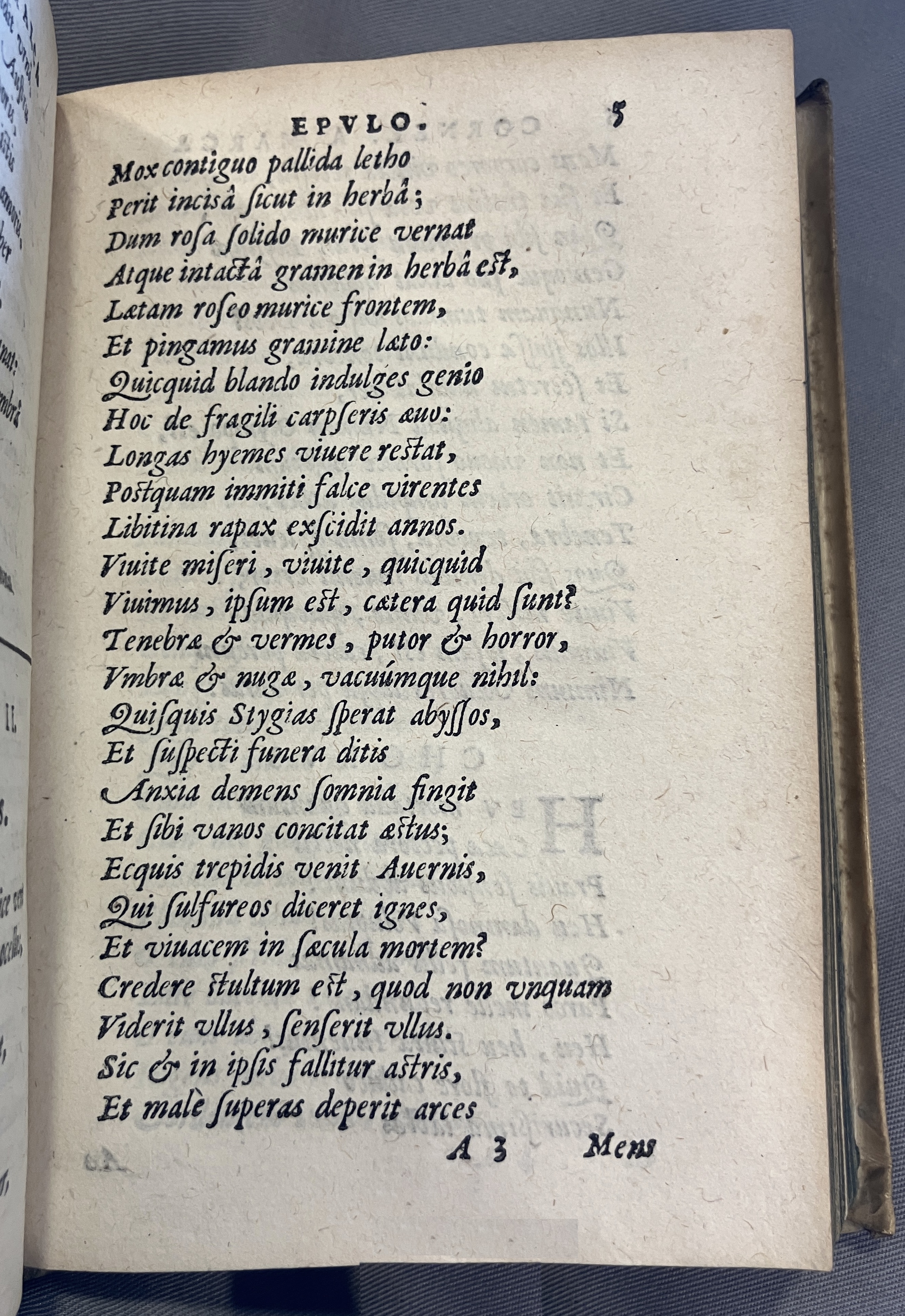 AMarcaOpera1613p005