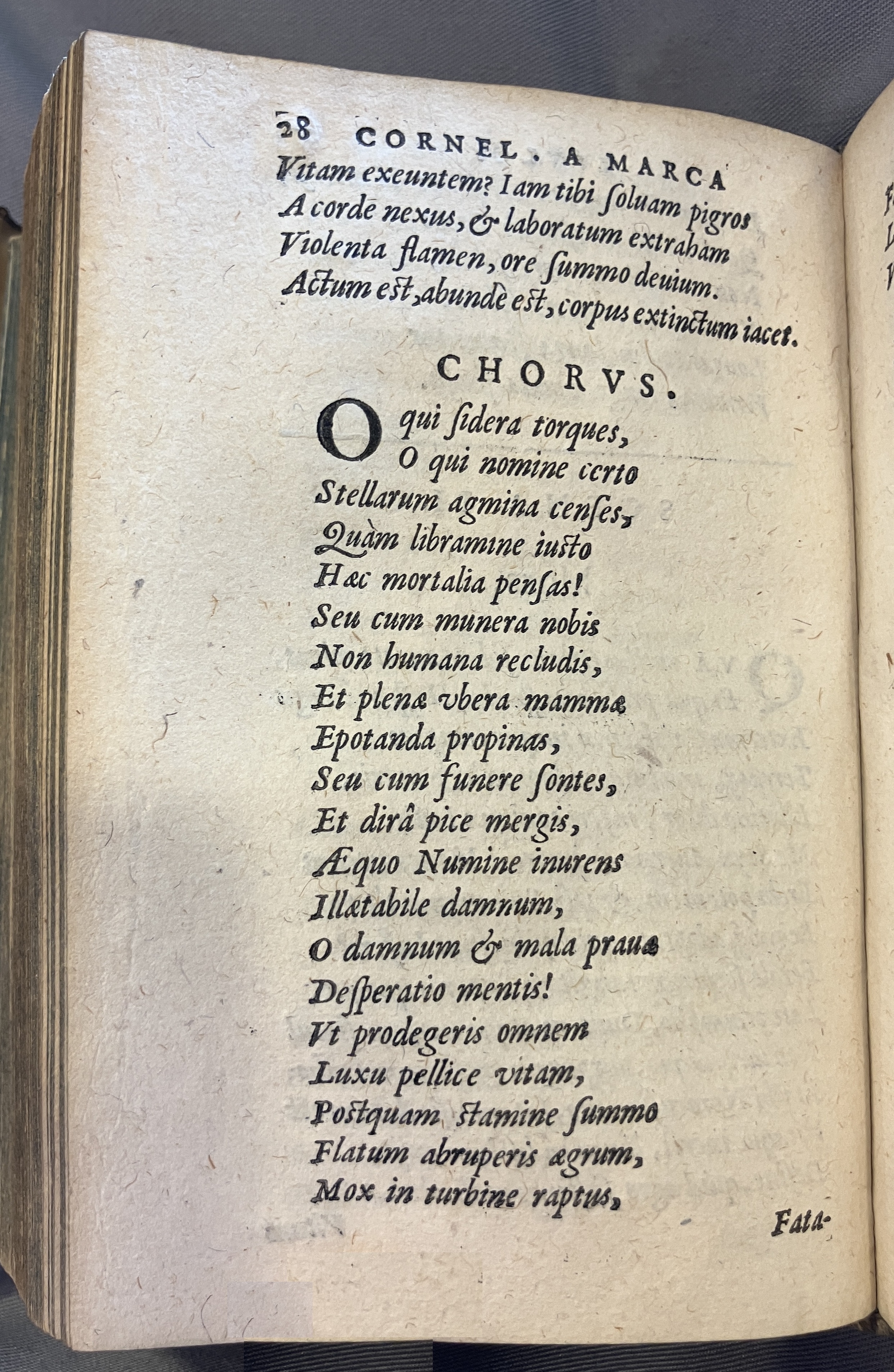 AMarcaOpera1613p028
