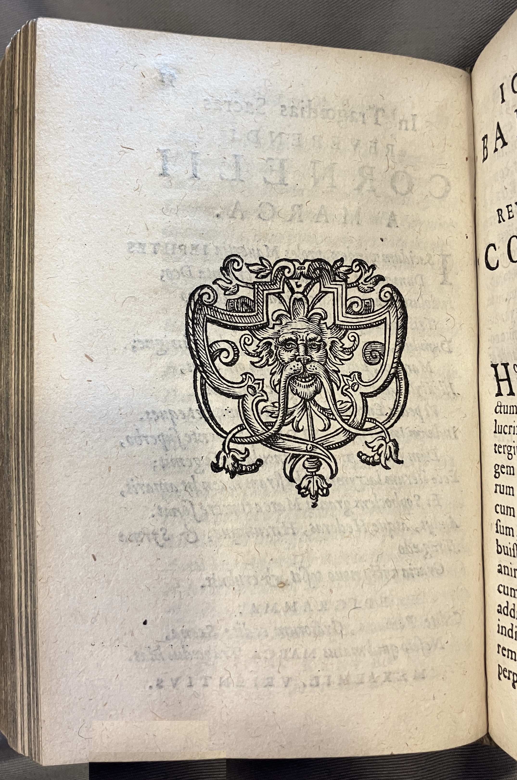 AMarcaOpera1613p052
