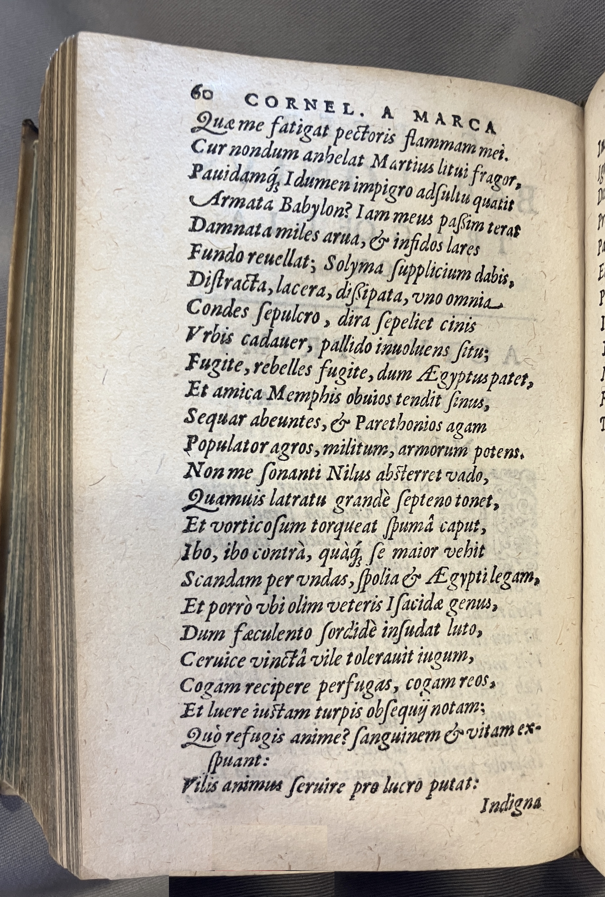 AMarcaOpera1613p060