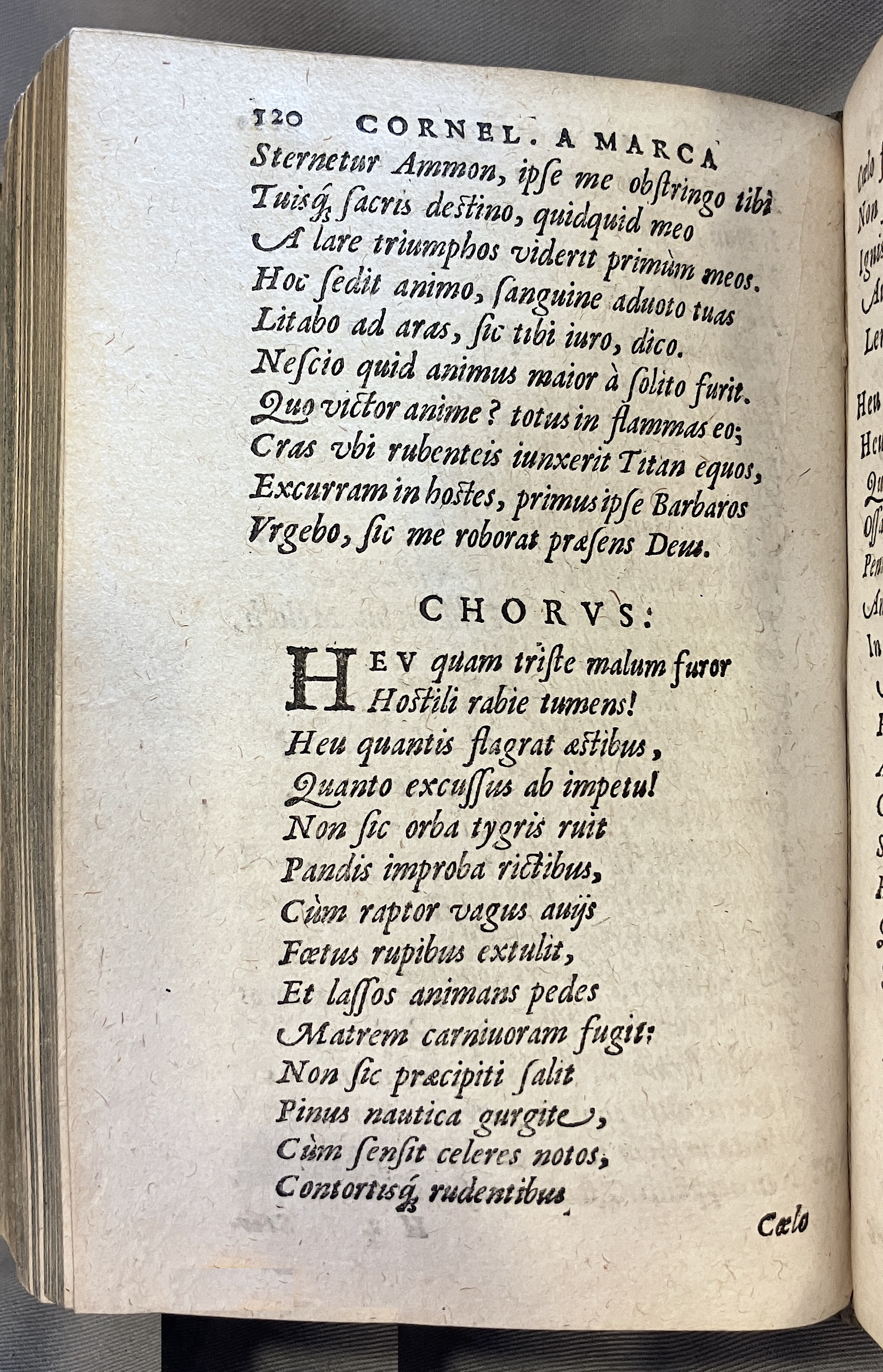 AMarcaOpera1613p120