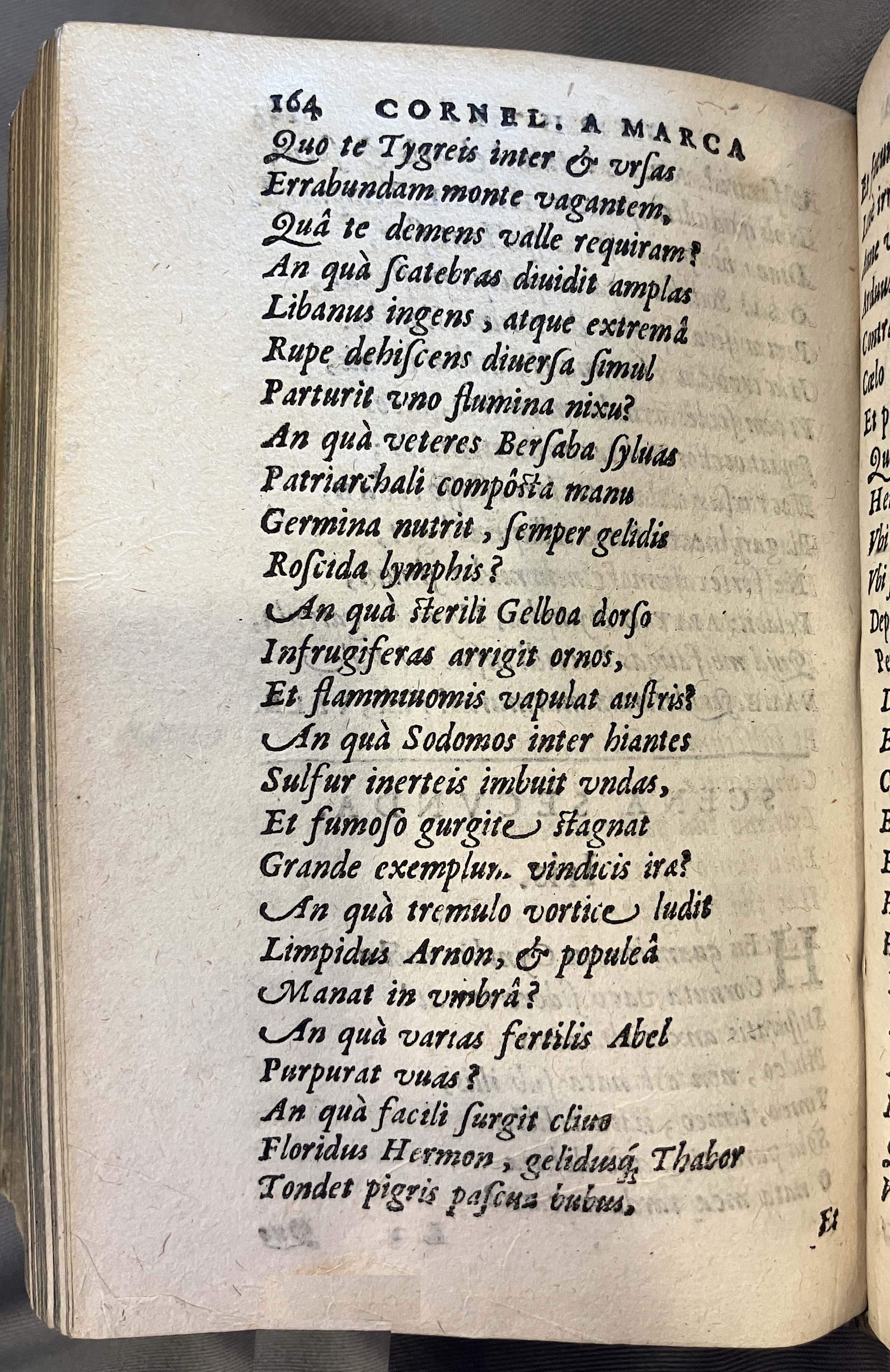 AMarcaOpera1613p164