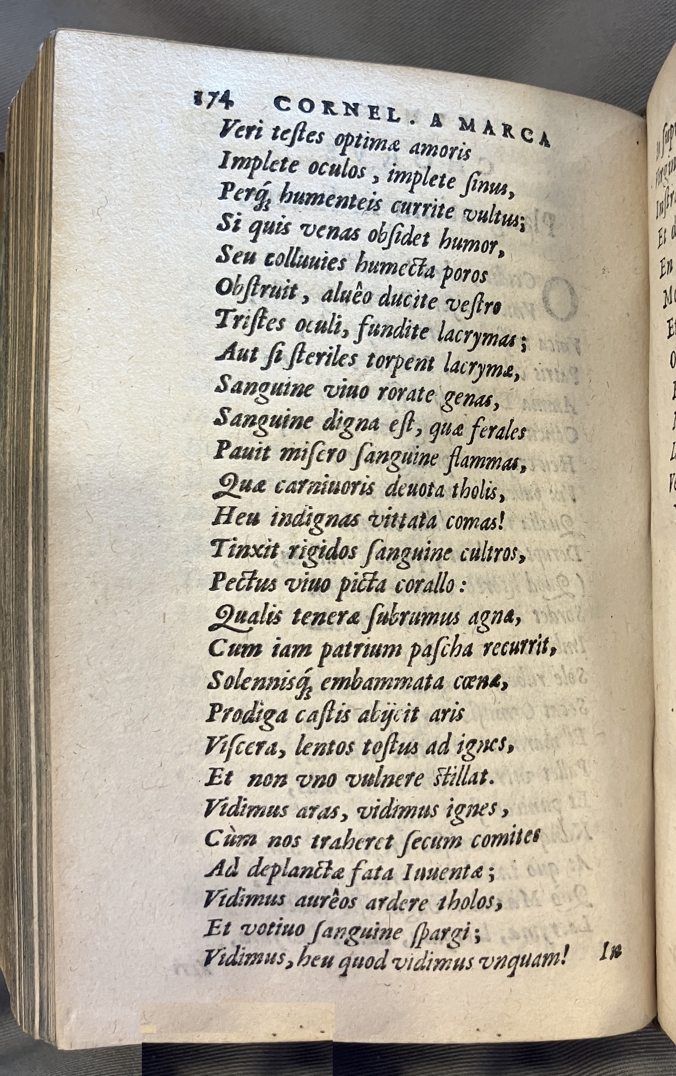 AMarcaOpera1613p174