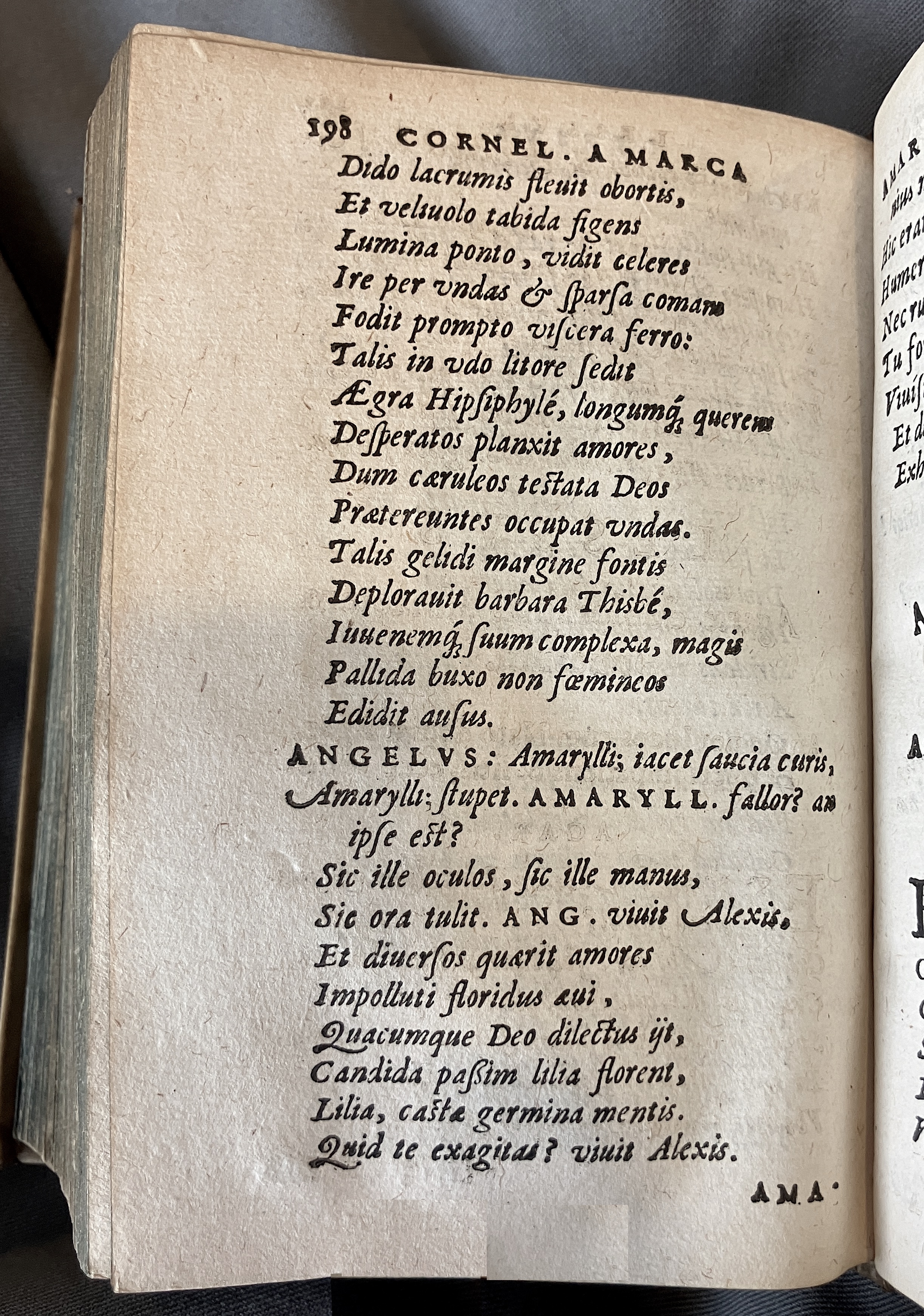 AMarcaOpera1613p198