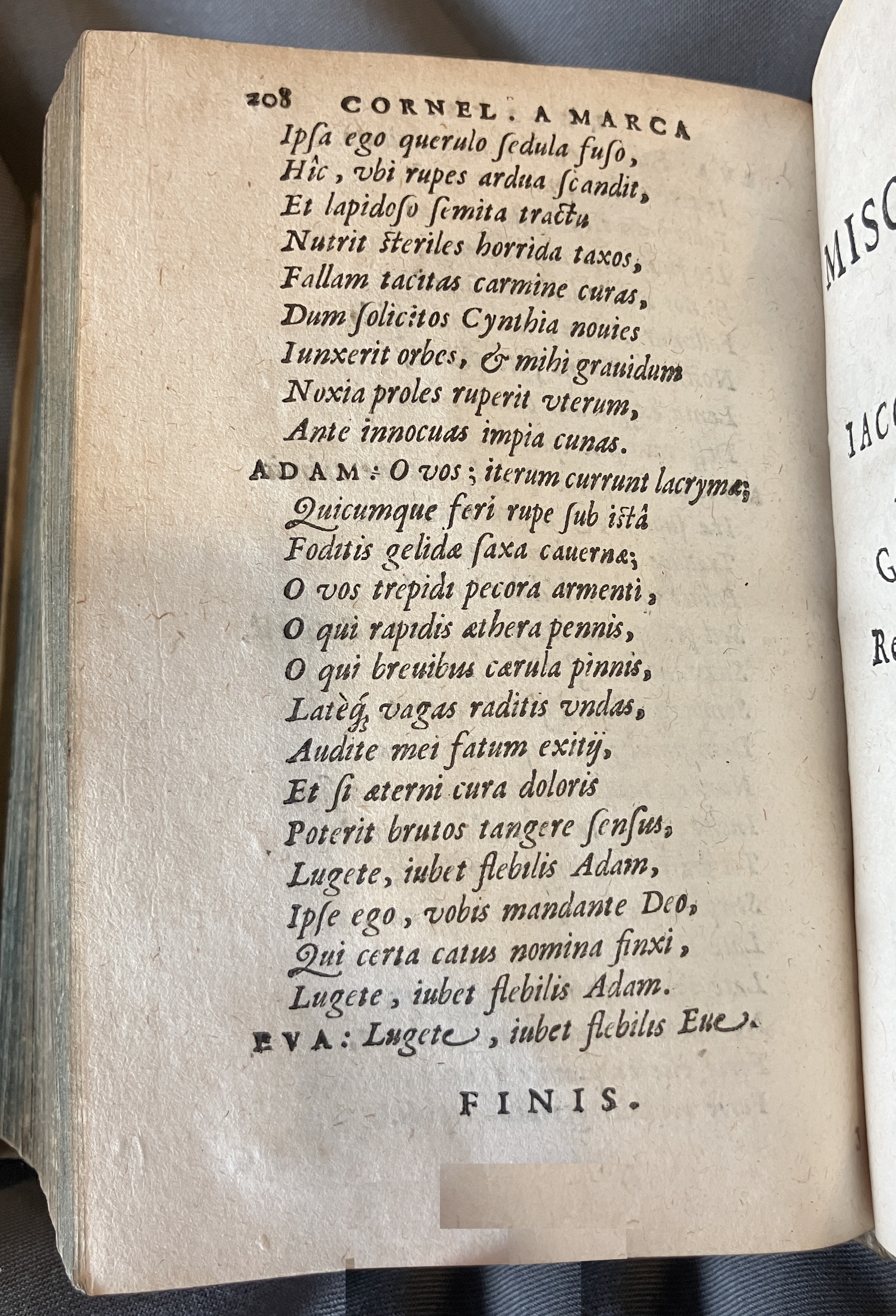 AMarcaOpera1613p208