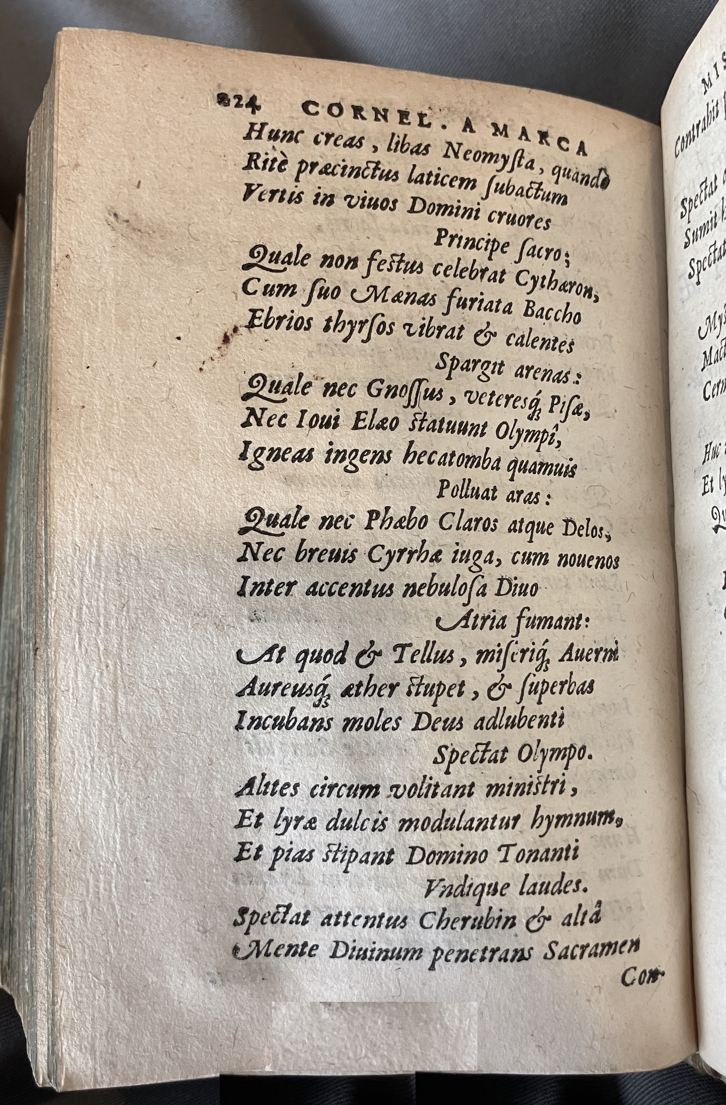 AMarcaOpera1613p224