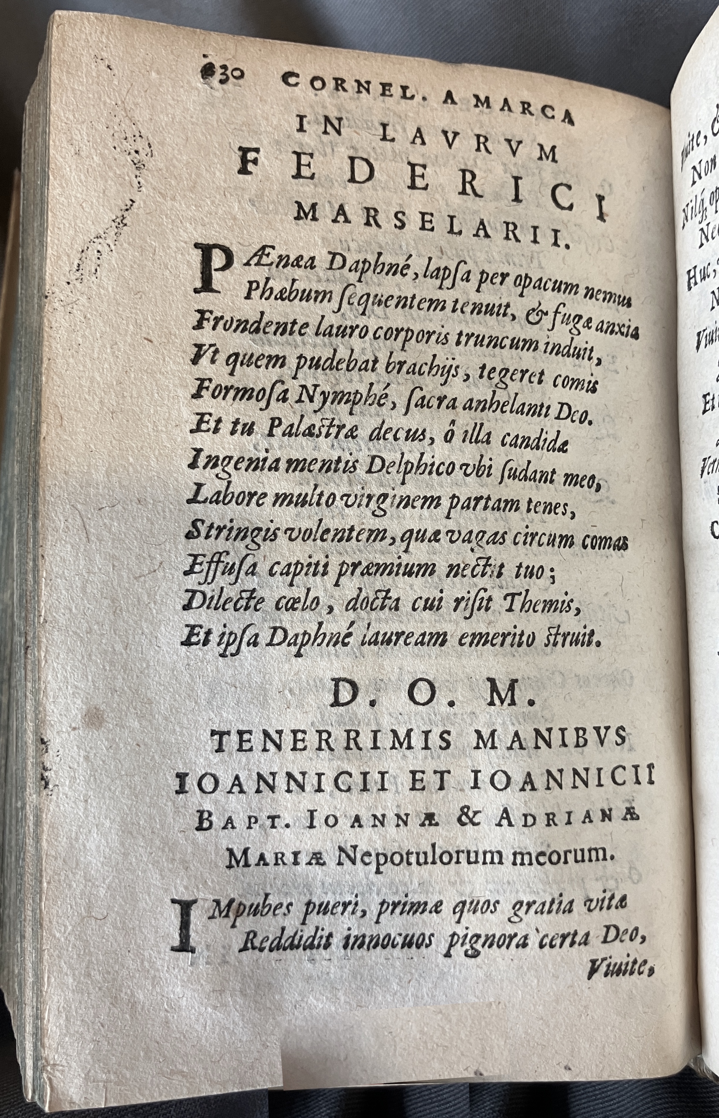 AMarcaOpera1613p230