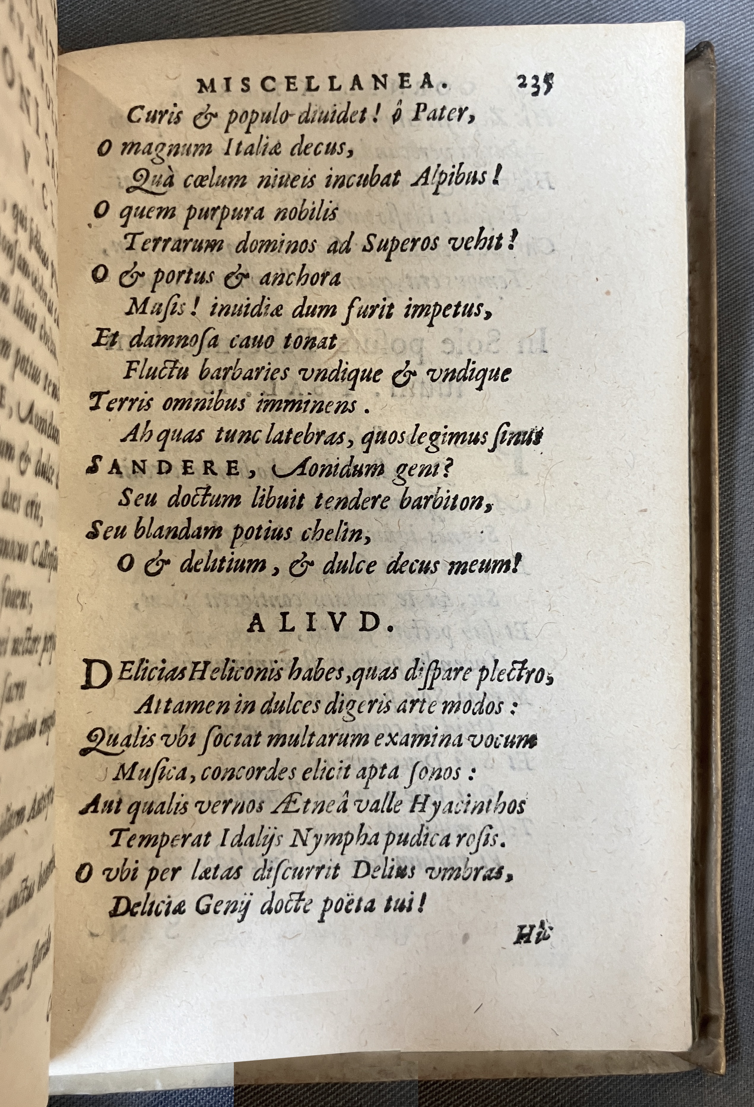 AMarcaOpera1613p235