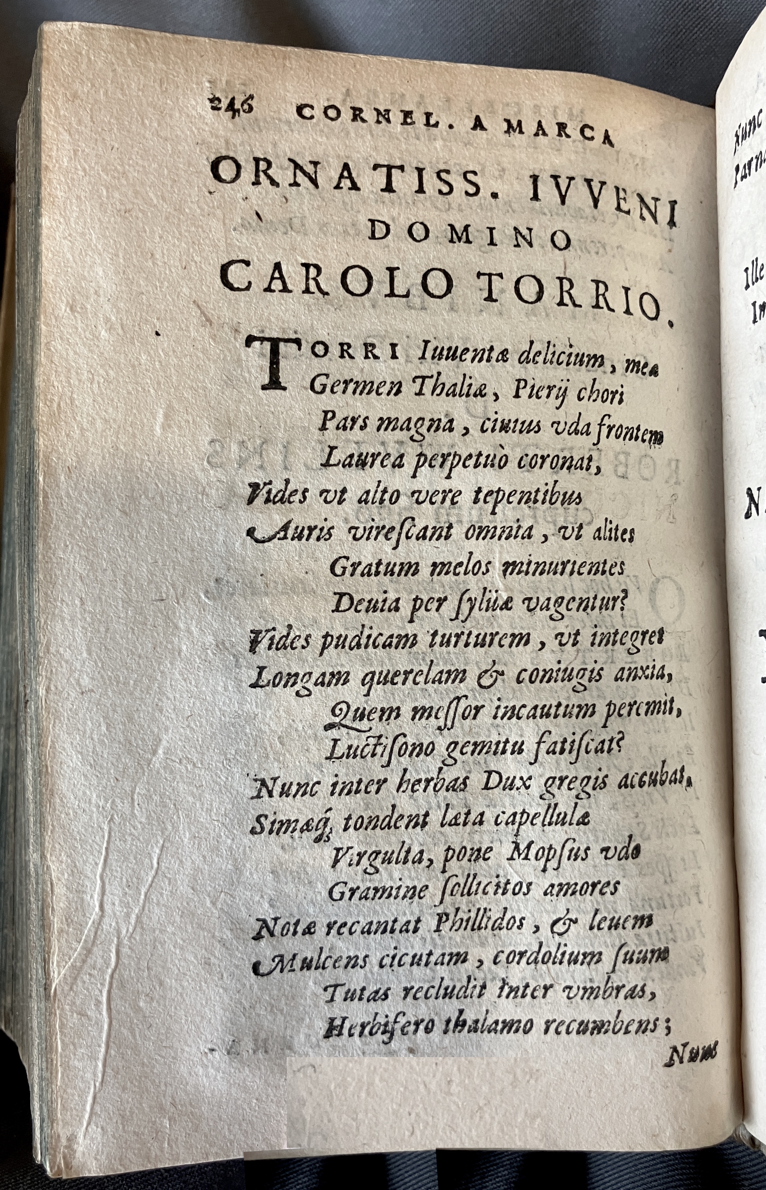 AMarcaOpera1613p246