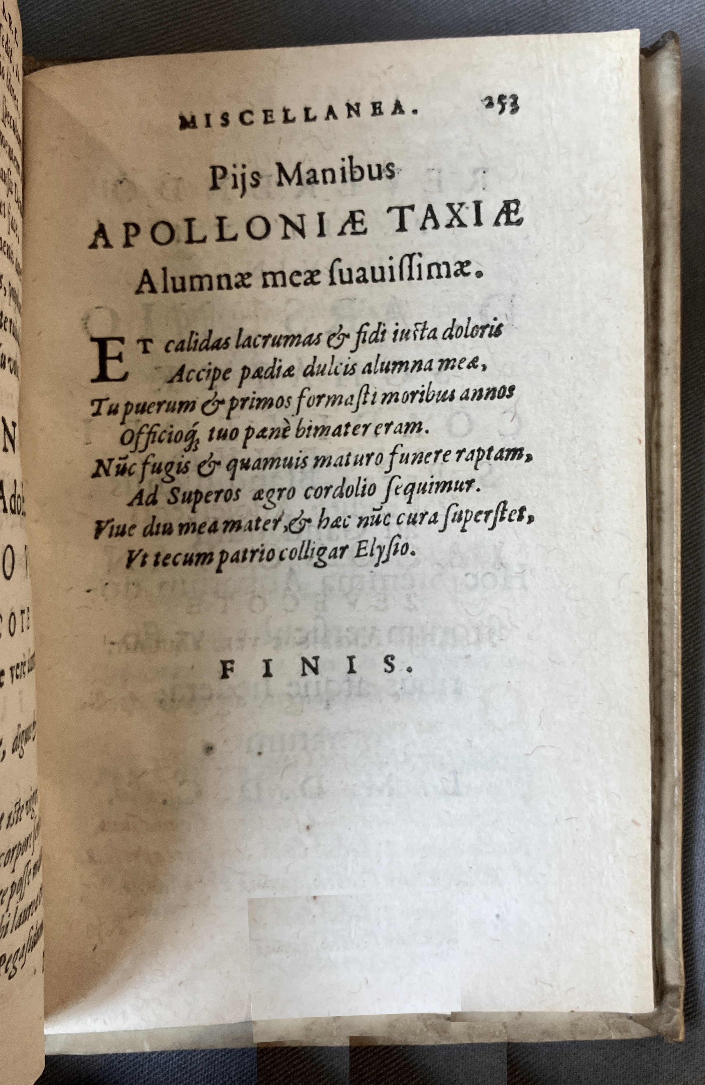 AMarcaOpera1613p253