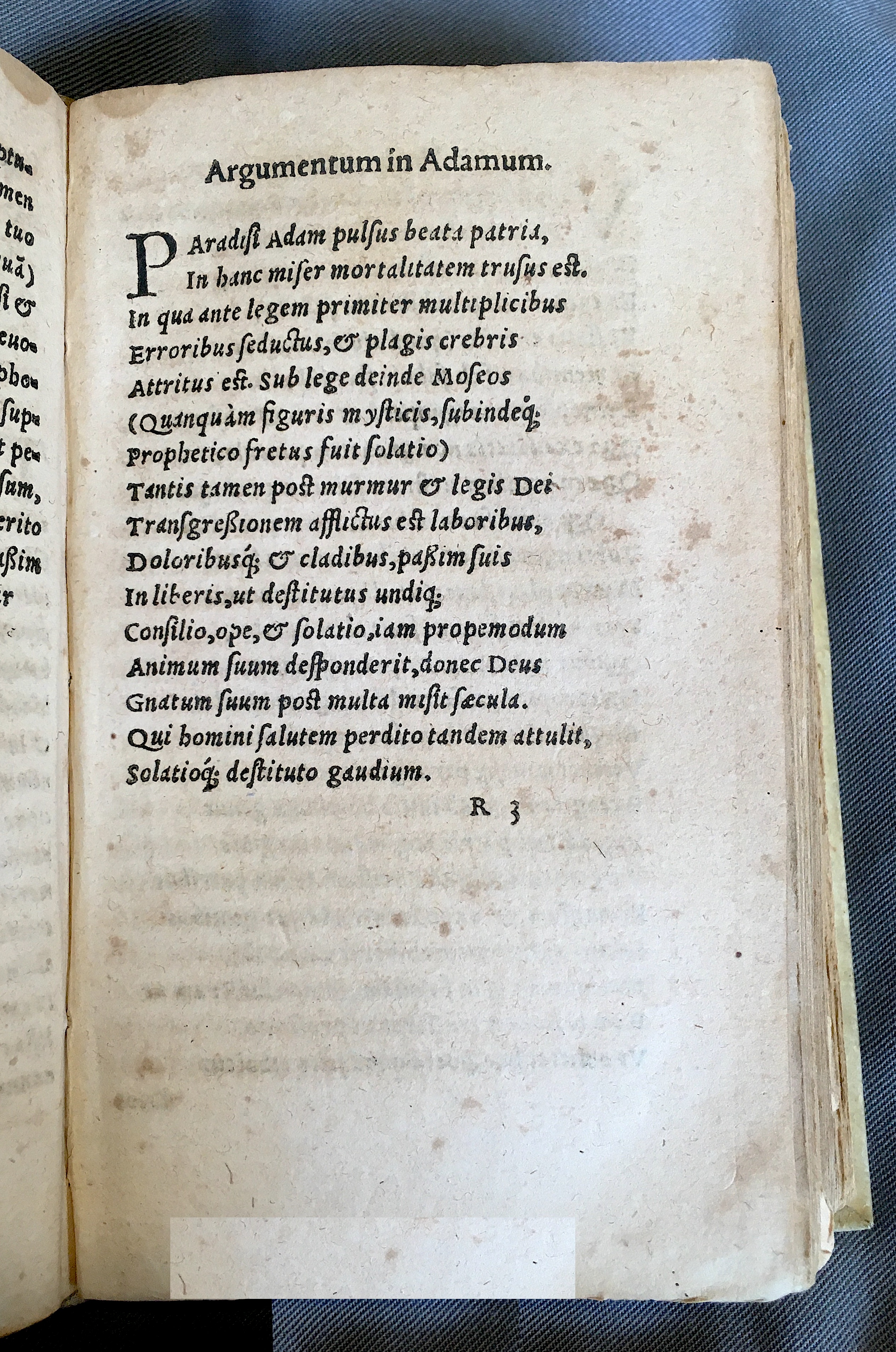 MacropediusAdamus1552p05.jpg