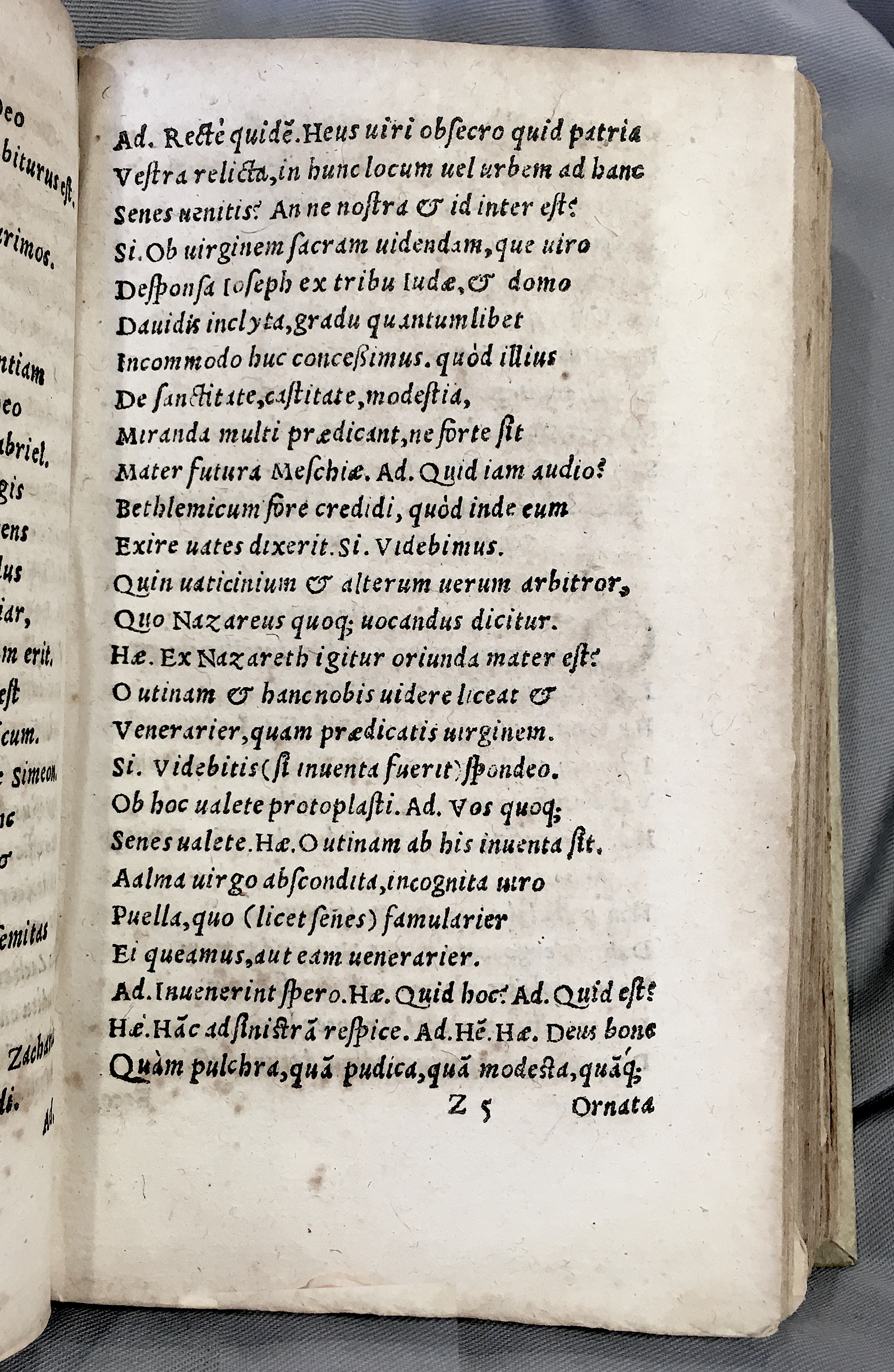 MacropediusAdamus1552p105.jpg