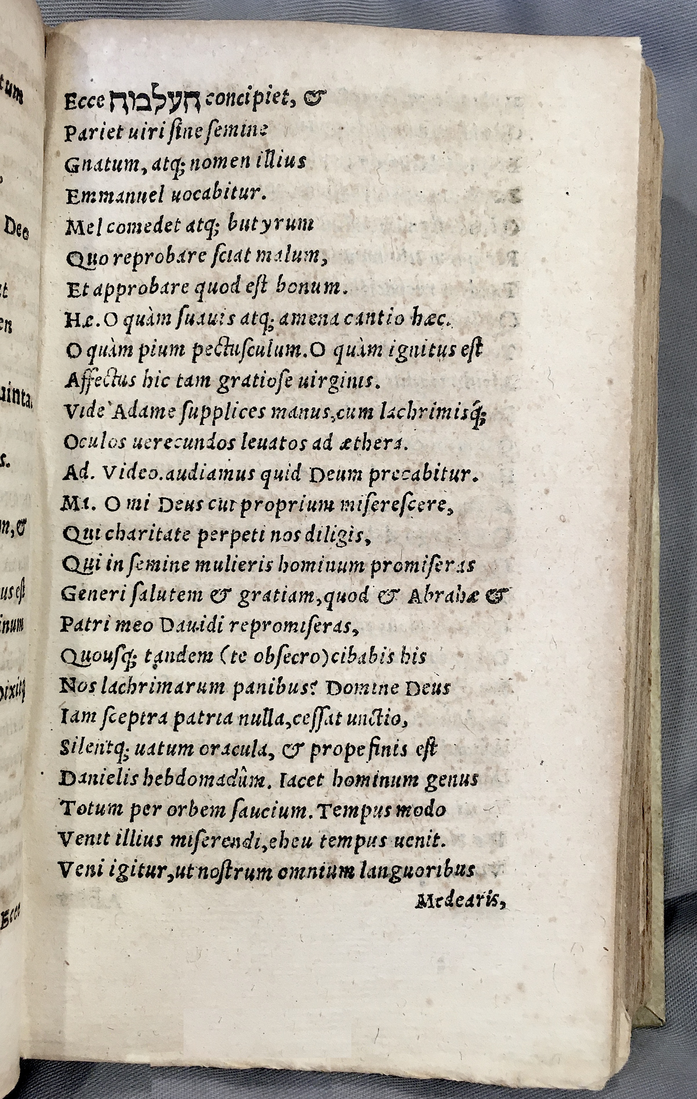 MacropediusAdamus1552p107.jpg