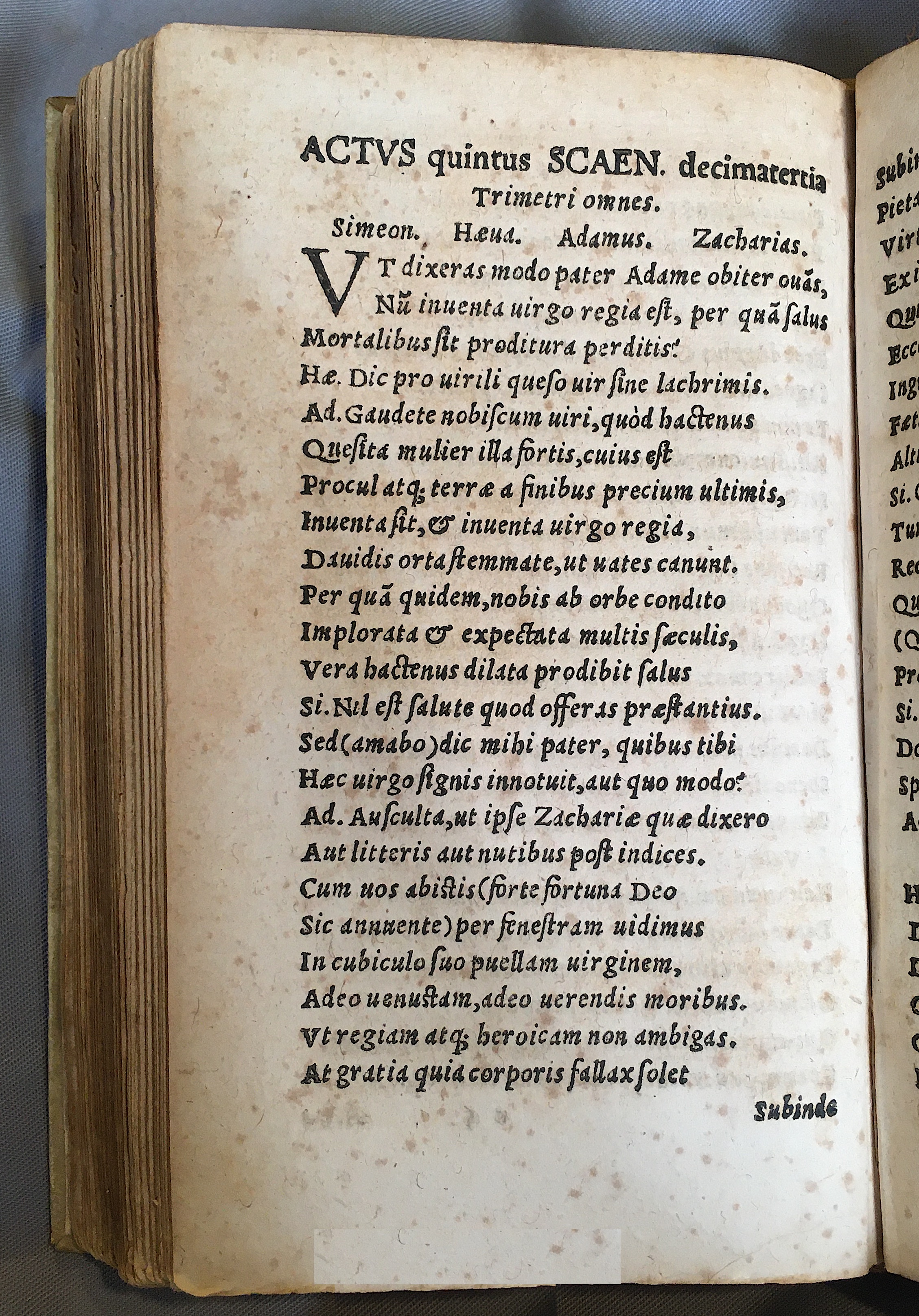 MacropediusAdamus1552p122.jpg