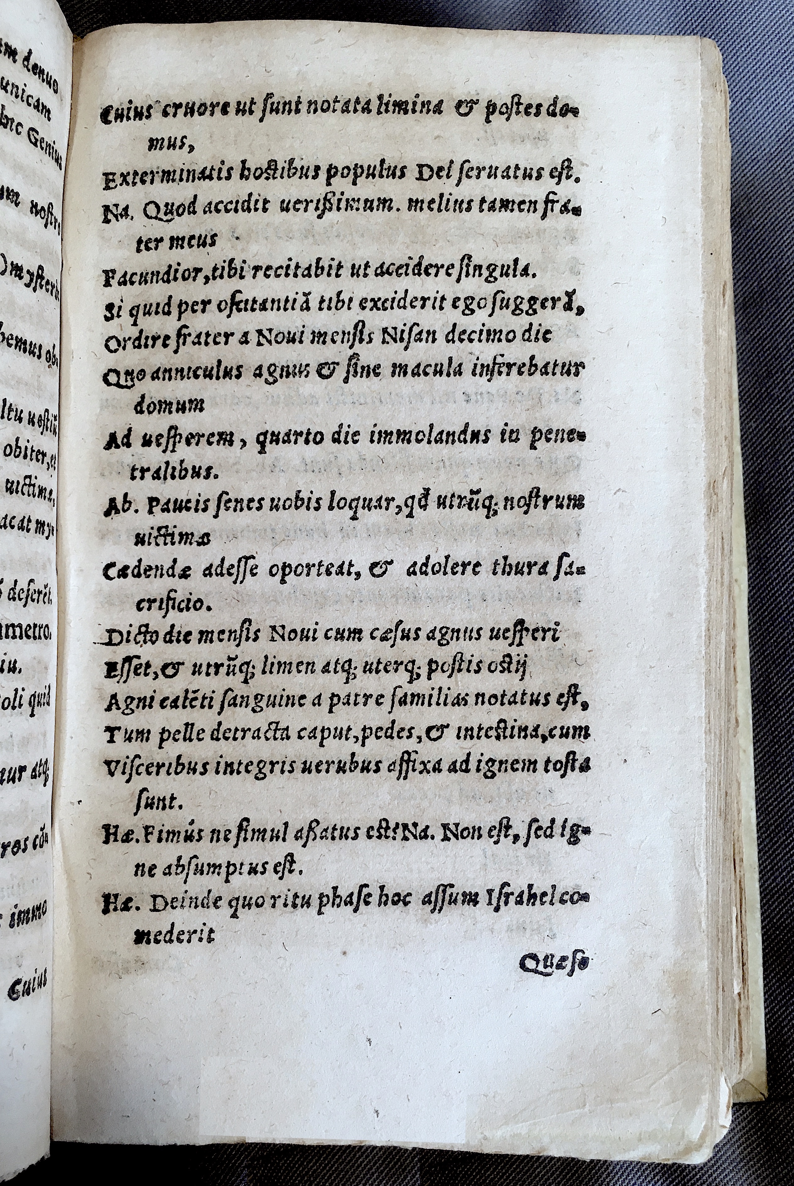 MacropediusAdamus1552p45.jpg