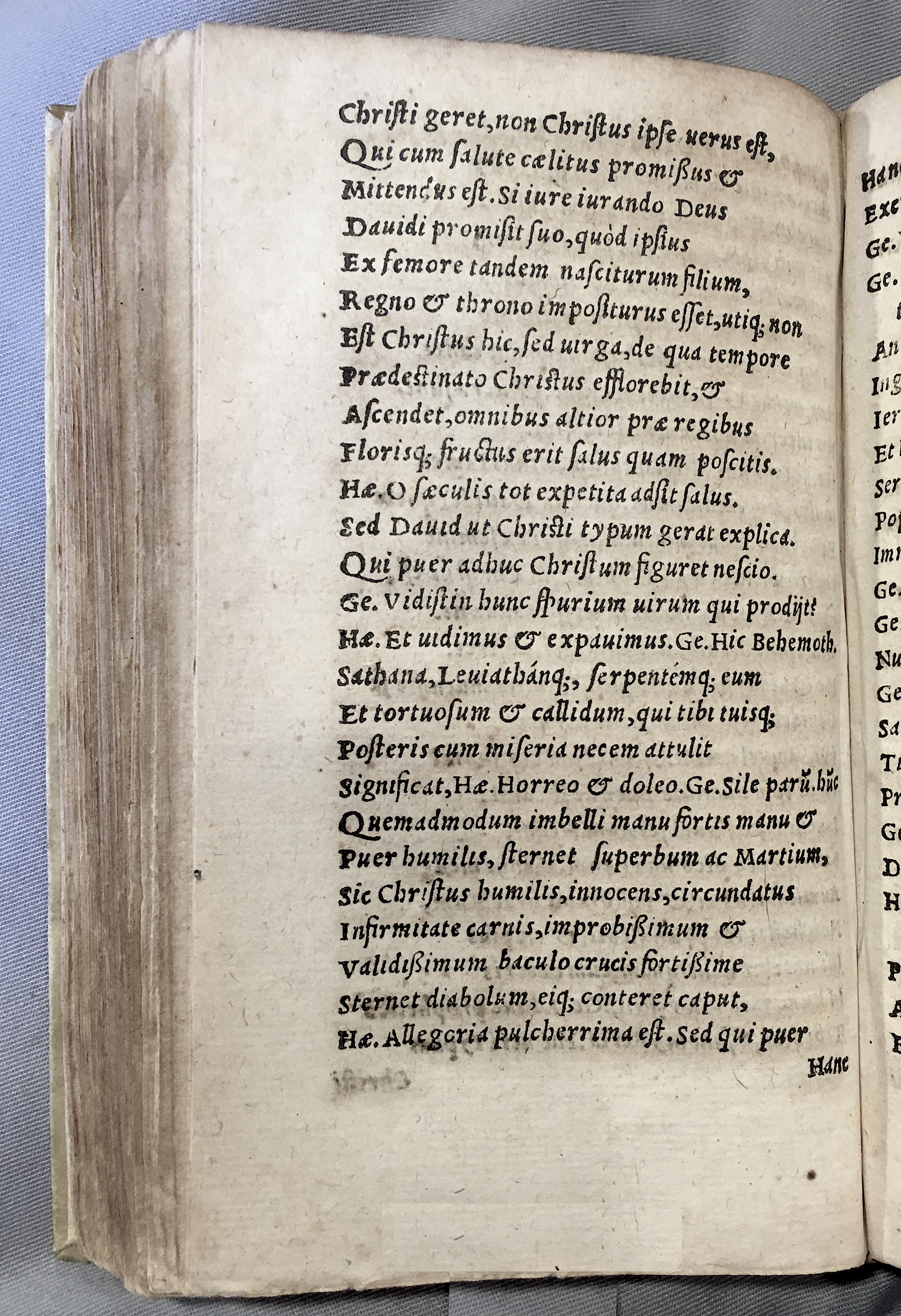 MacropediusAdamus1552p80.jpg