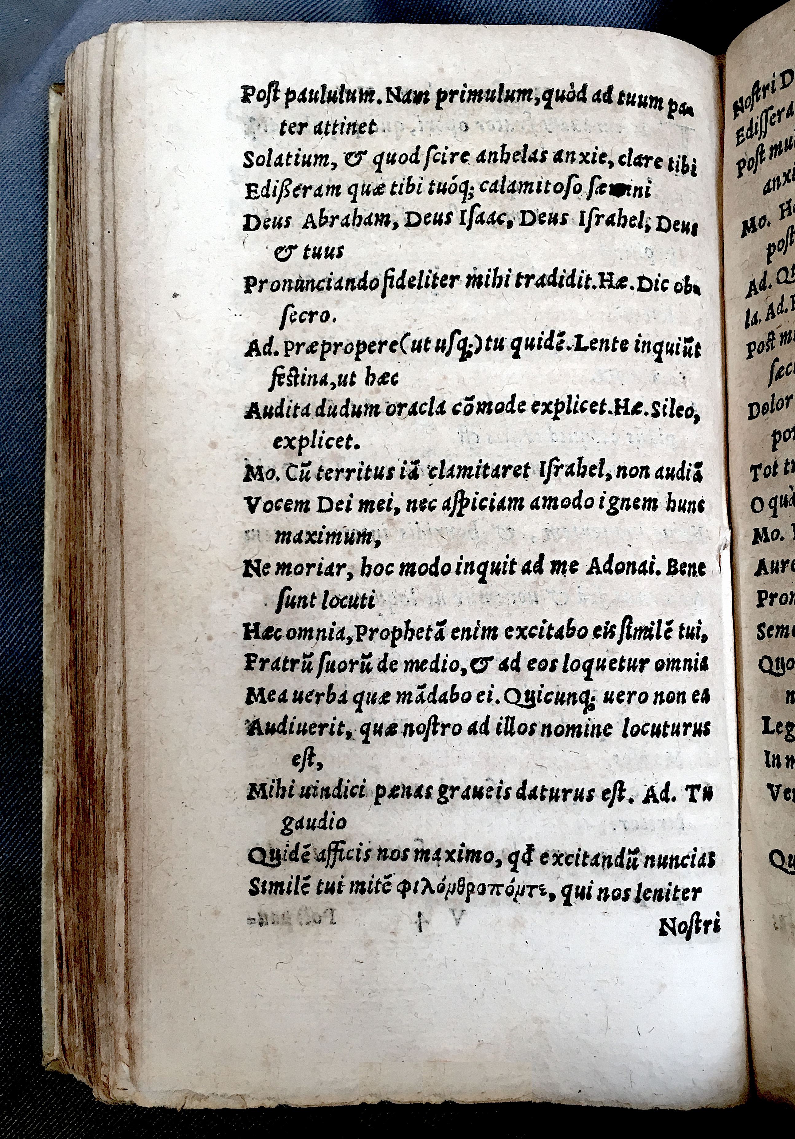 MacropediusAdamus1552p56