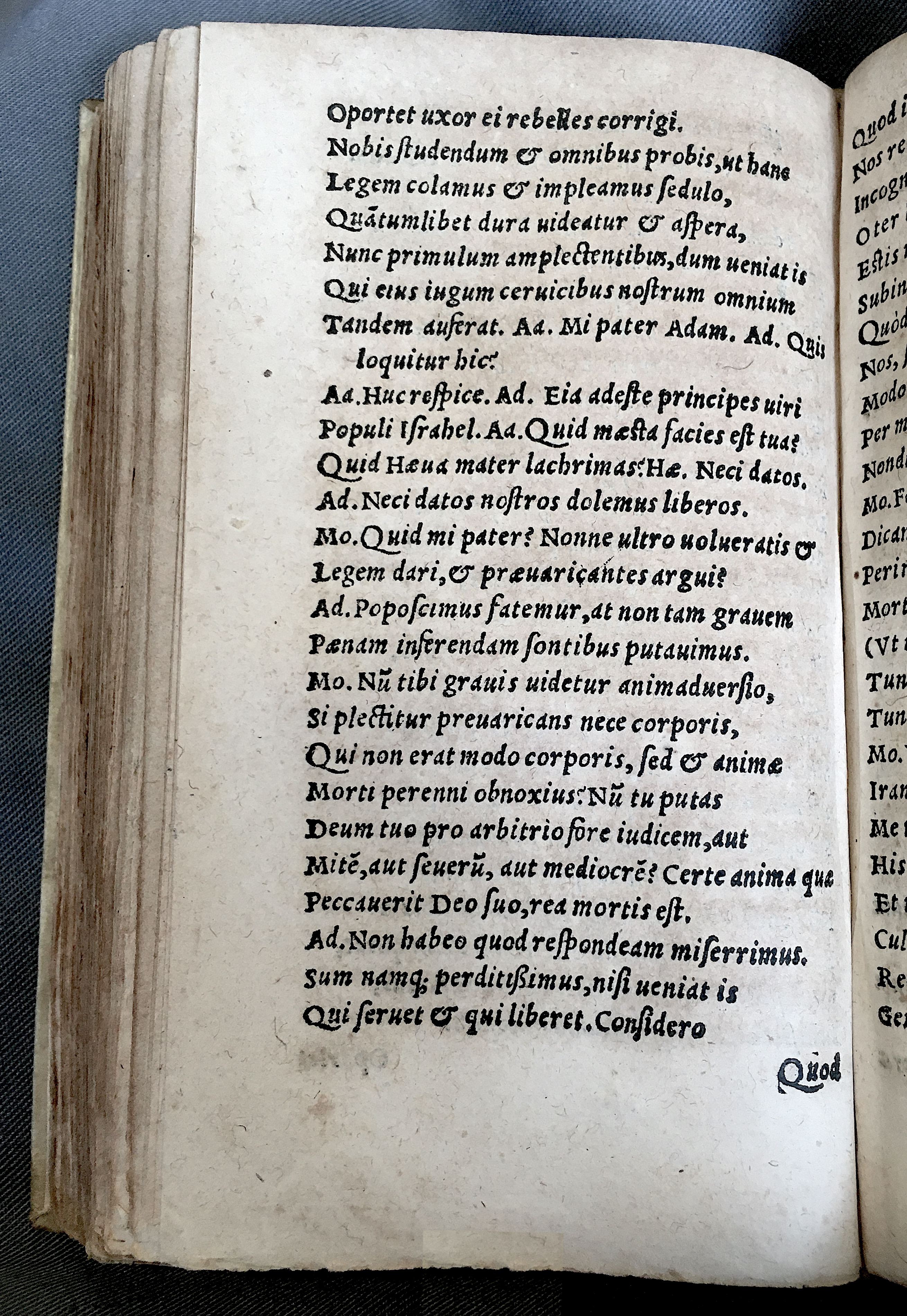 MacropediusAdamus1552p64