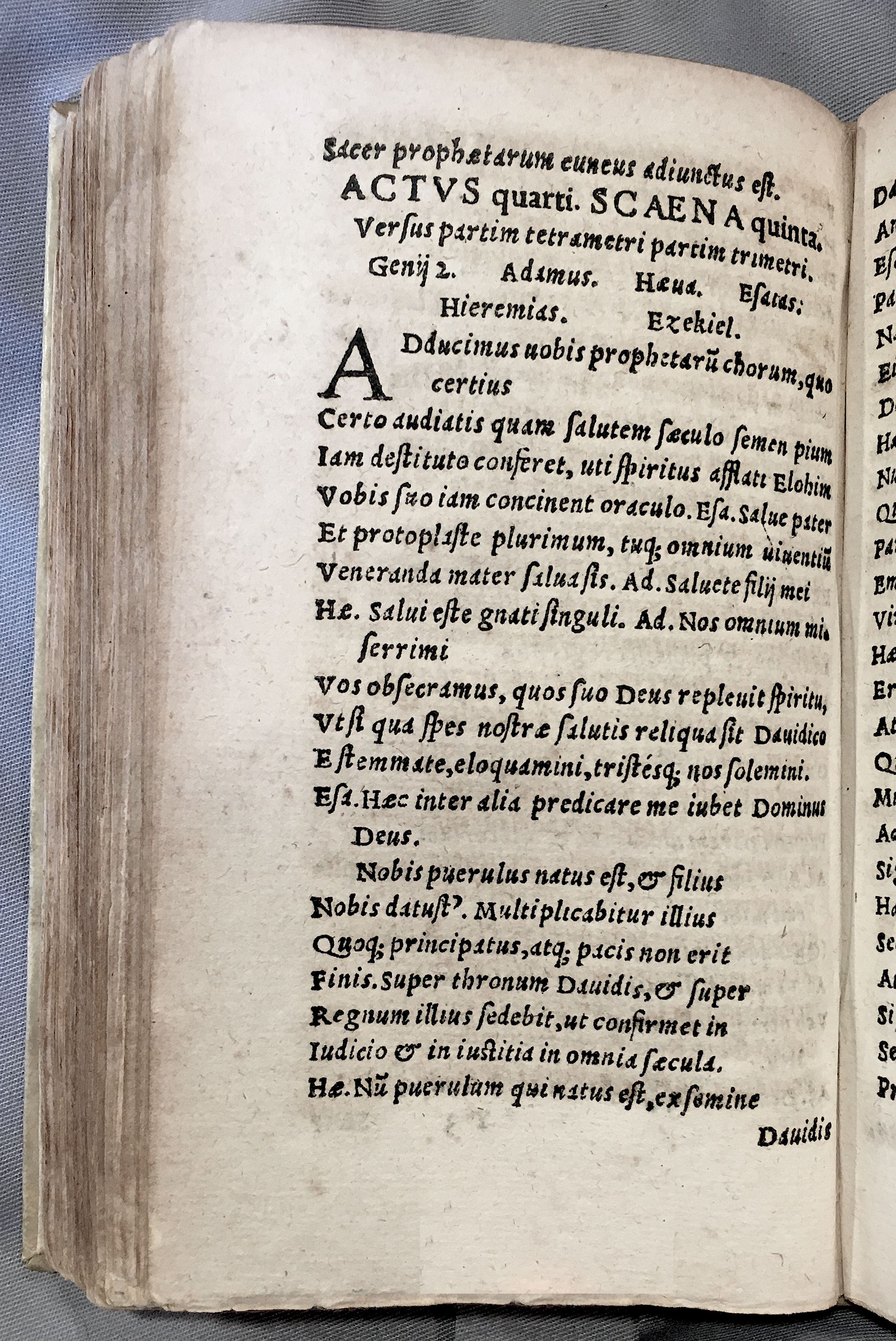 MacropediusAdamus1552p86