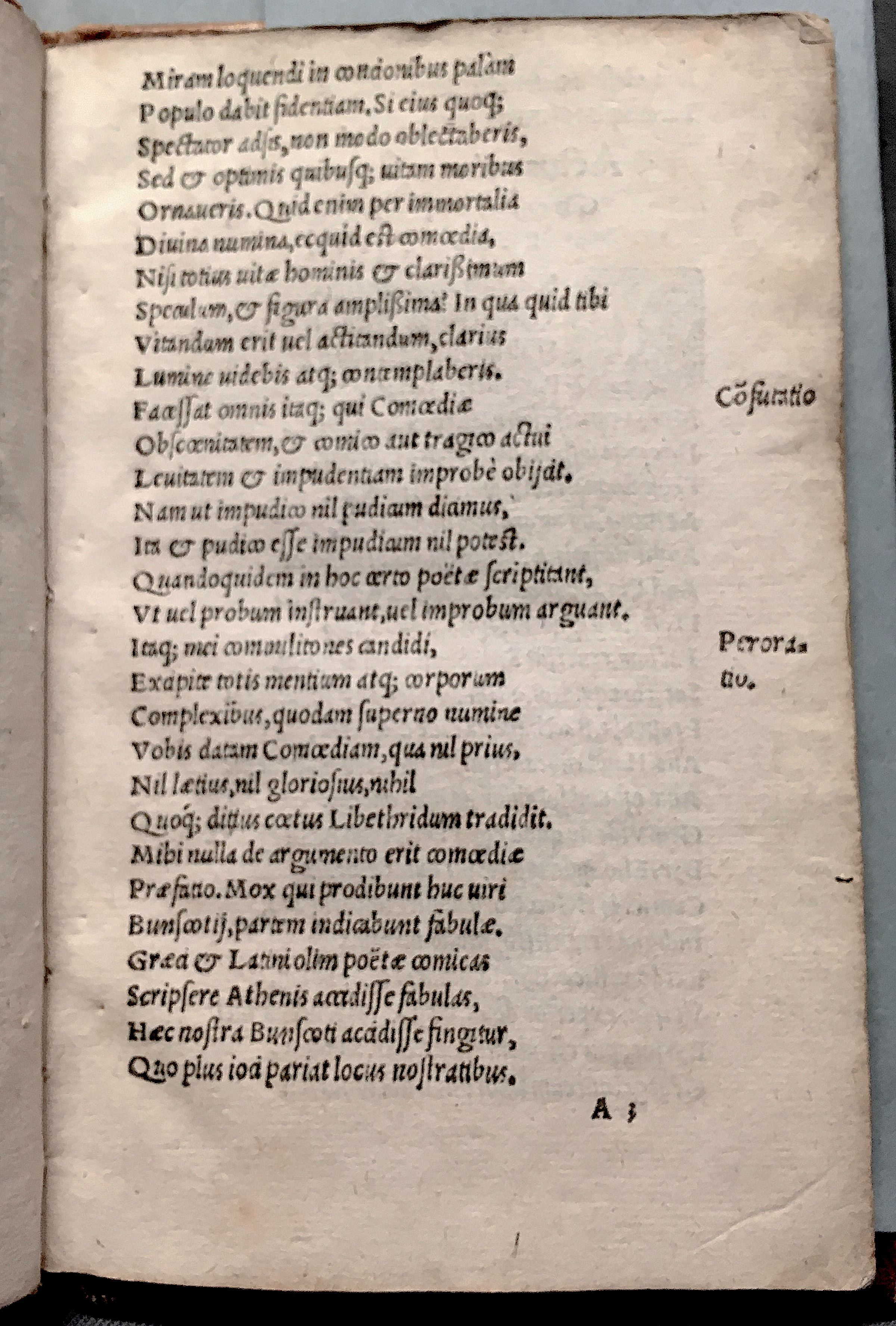 MacropediusAndrisca1545p05