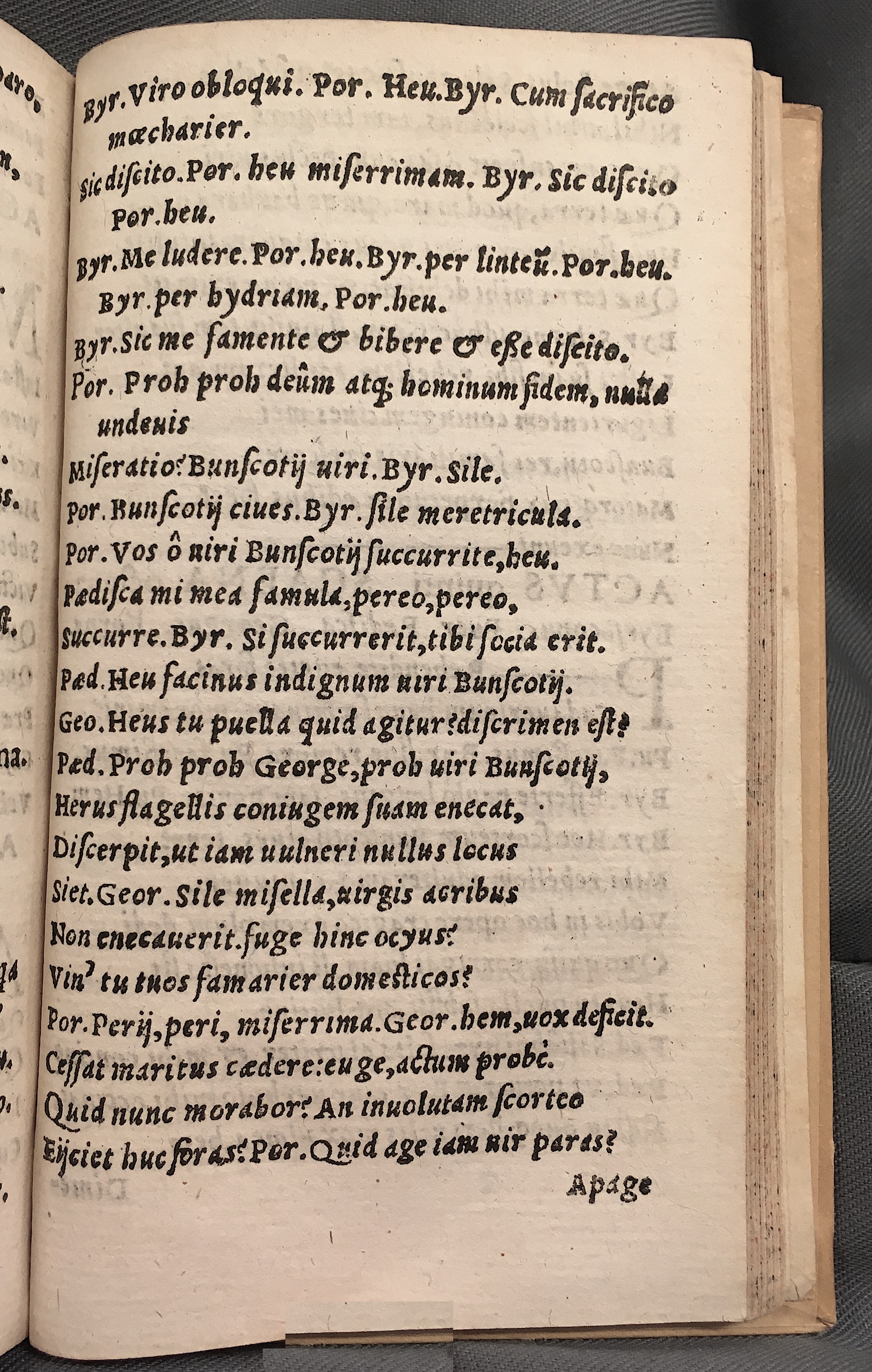 MacropediusAndrisca1553p47.jpg