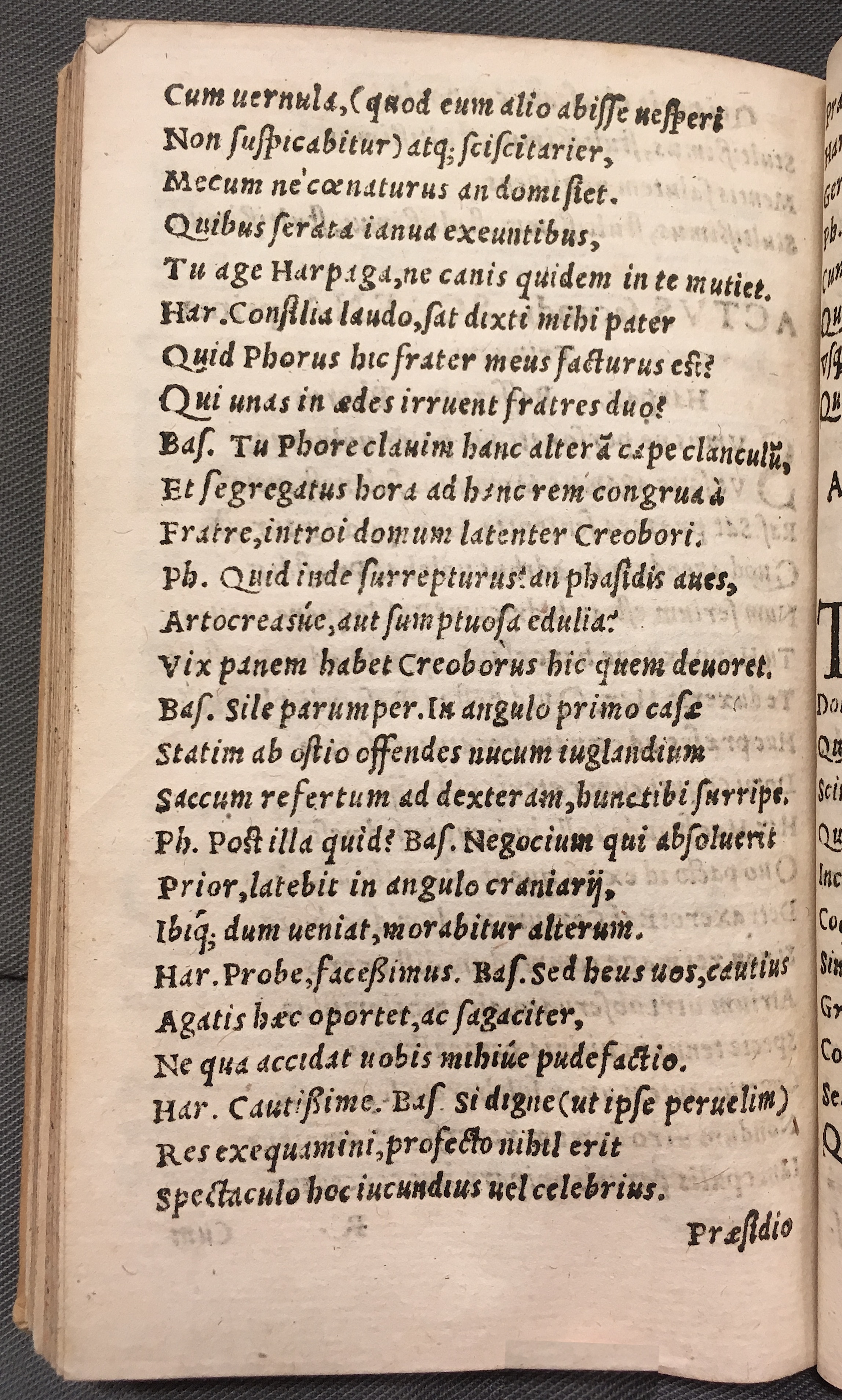 MacropediusBassarus1553p18.jpg
