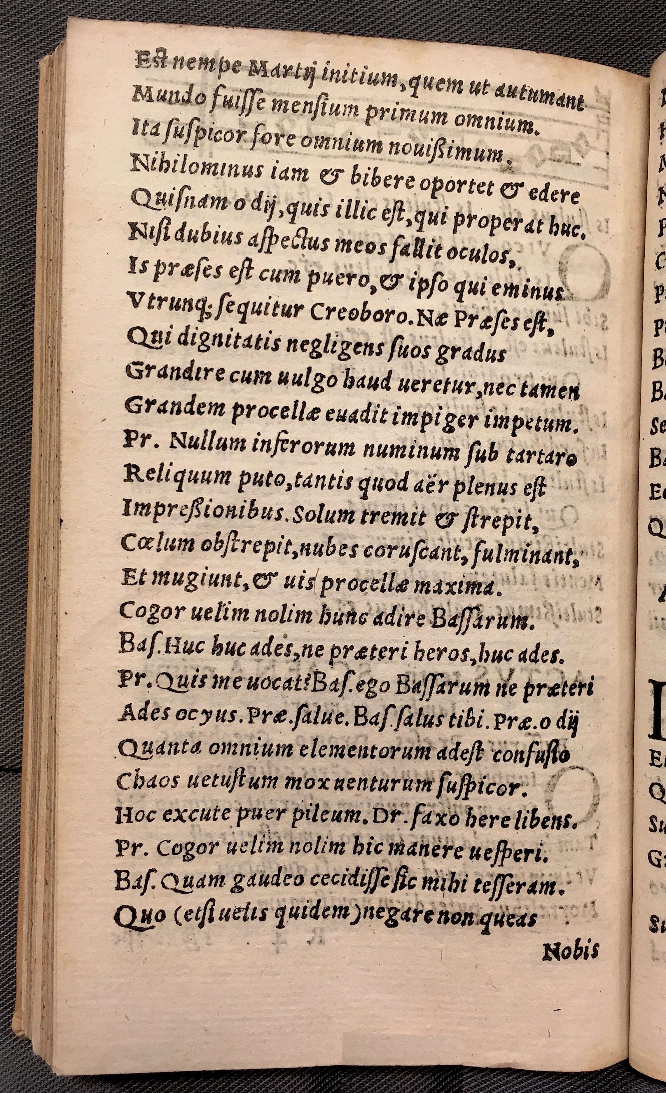 MacropediusBassarus1553p24.jpg