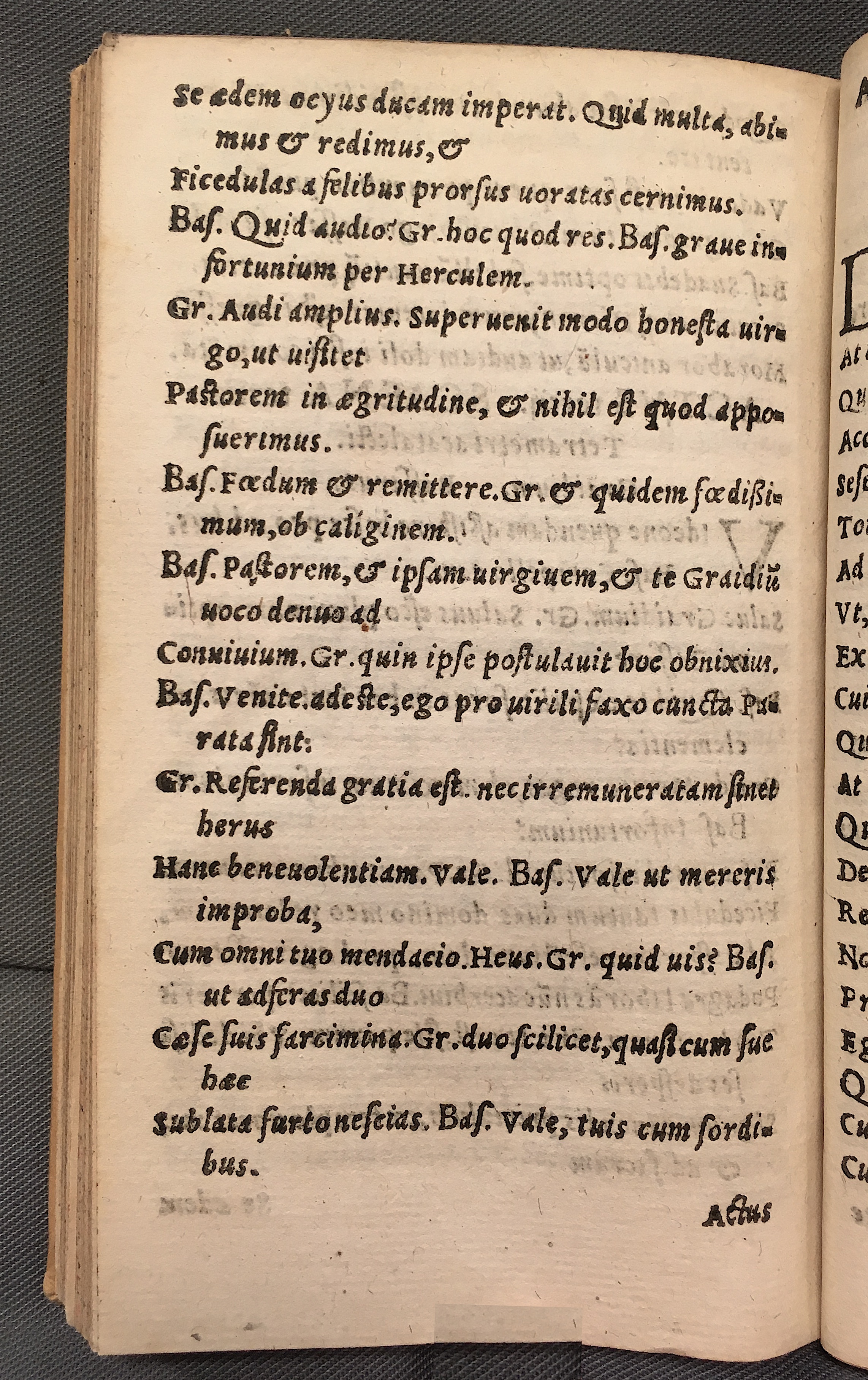 MacropediusBassarus1553p28.jpg