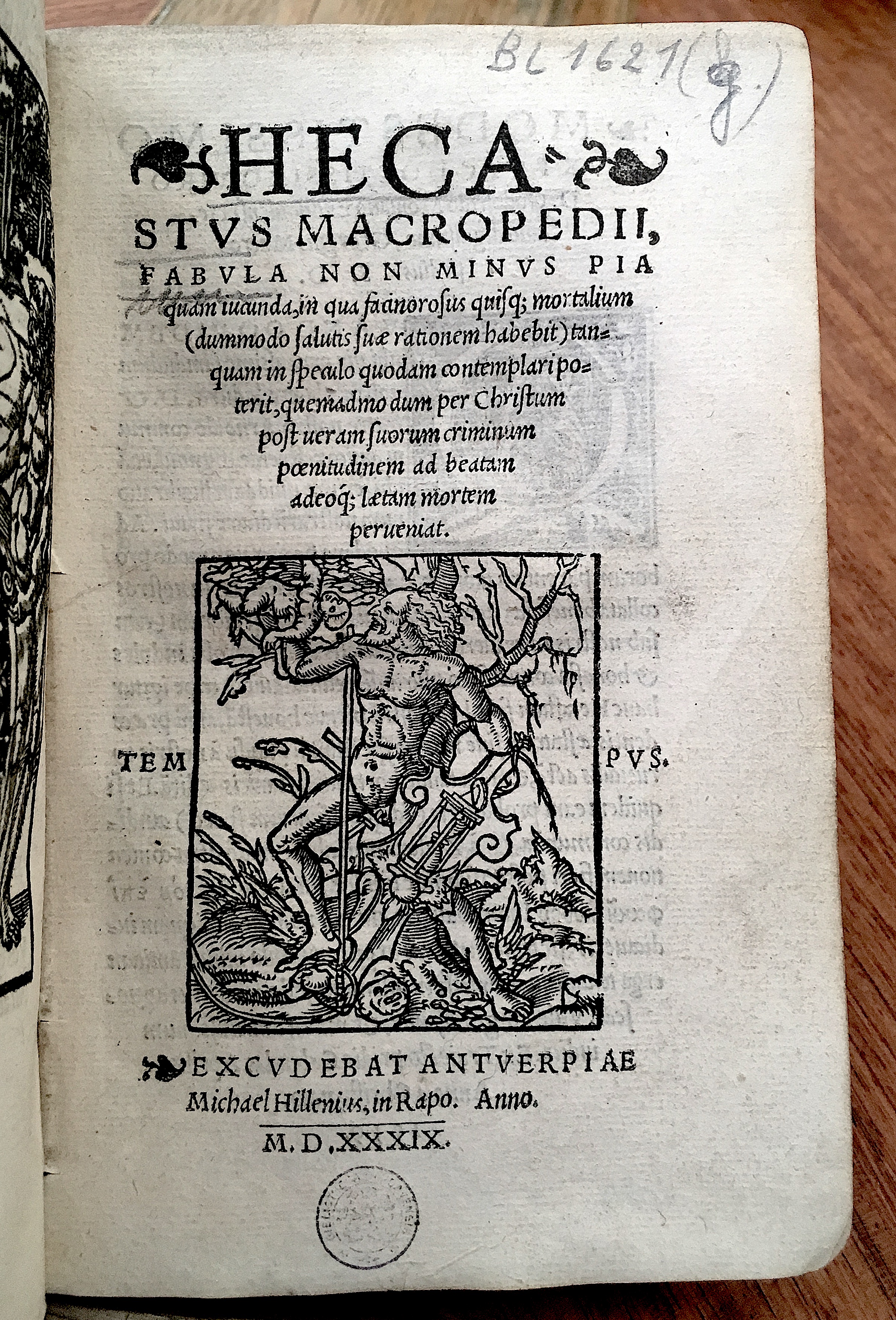 MacropediusHecastus1539p01.jpg