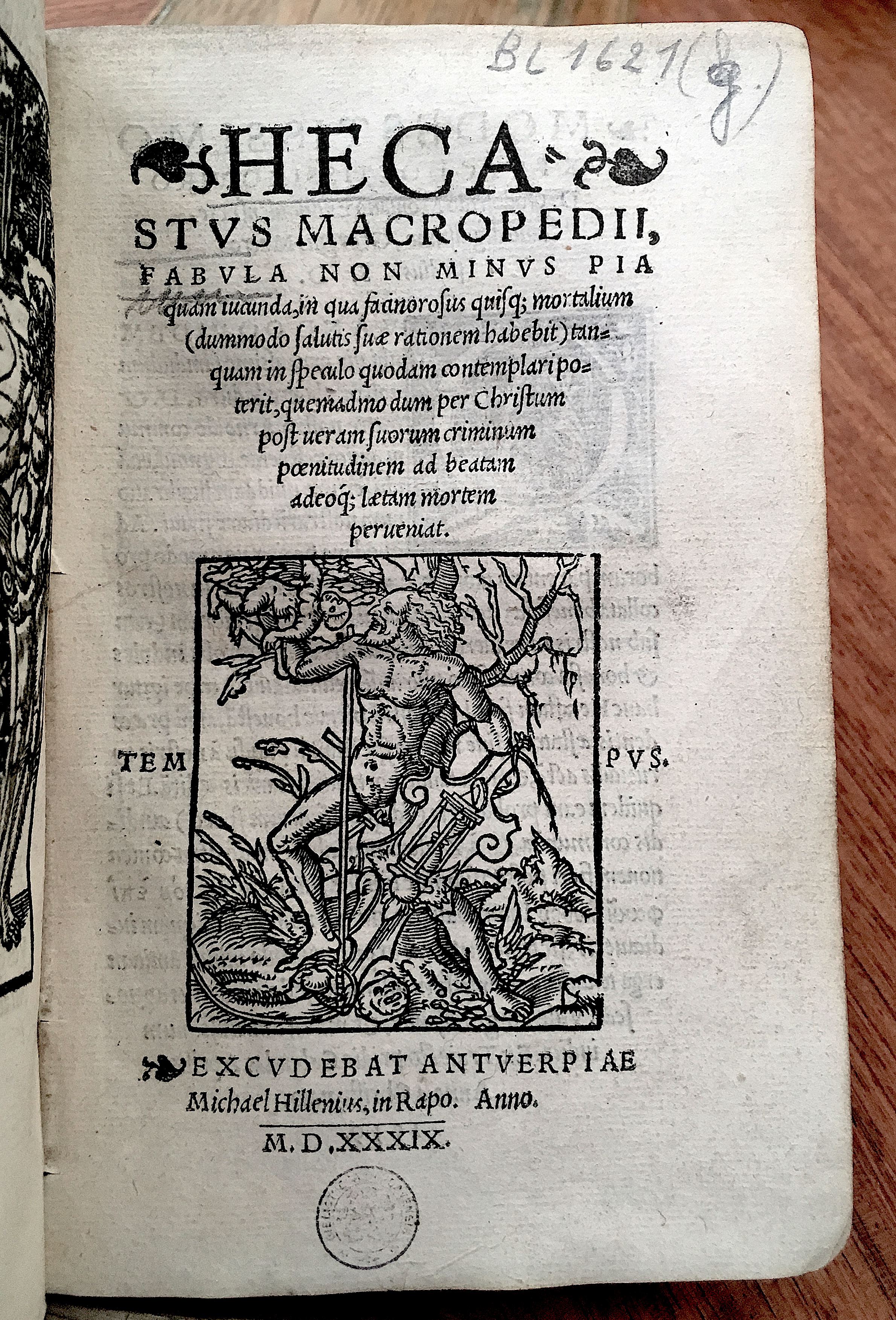 MacropediusHecastus1539p01