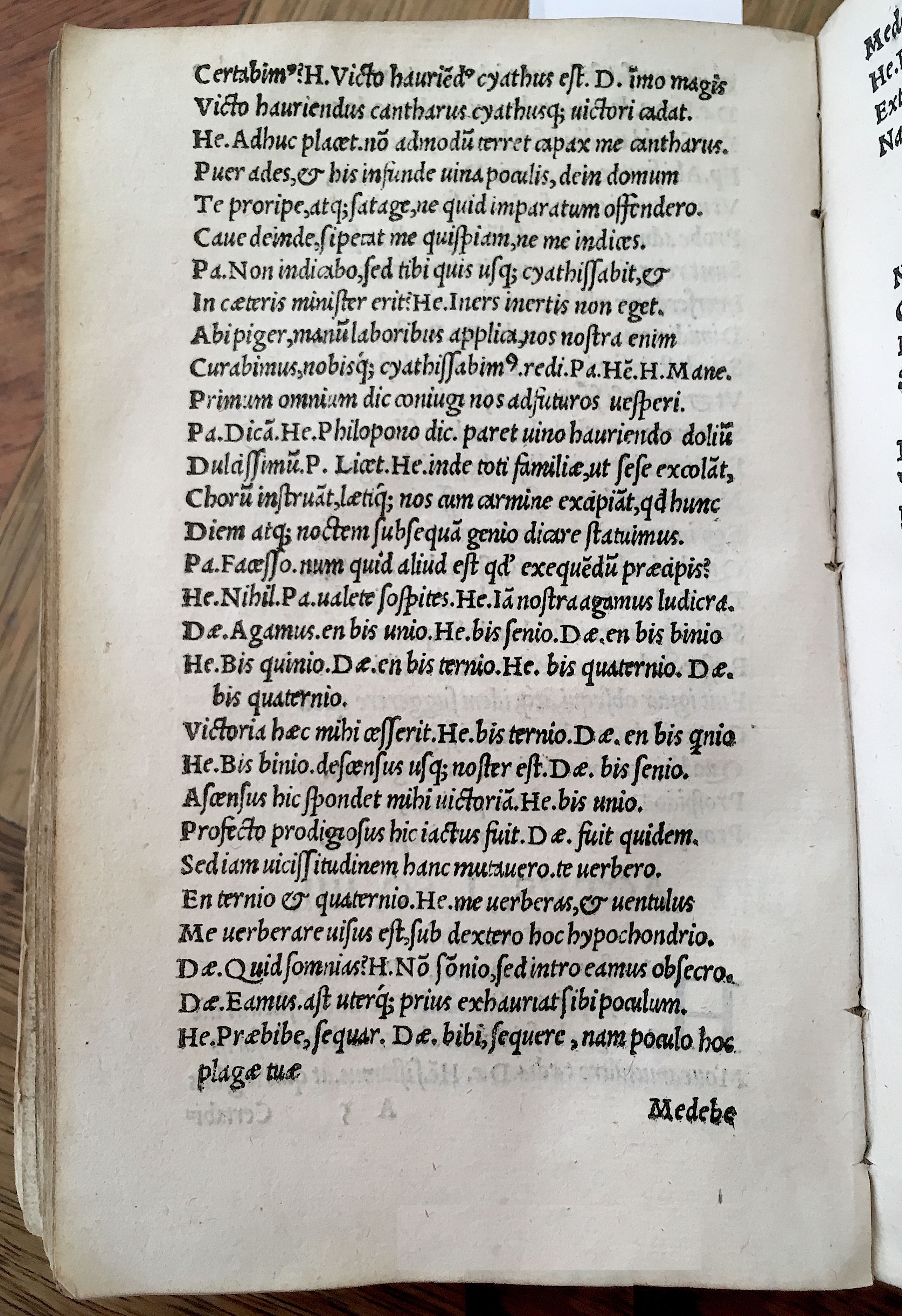 MacropediusHecastus1539p10