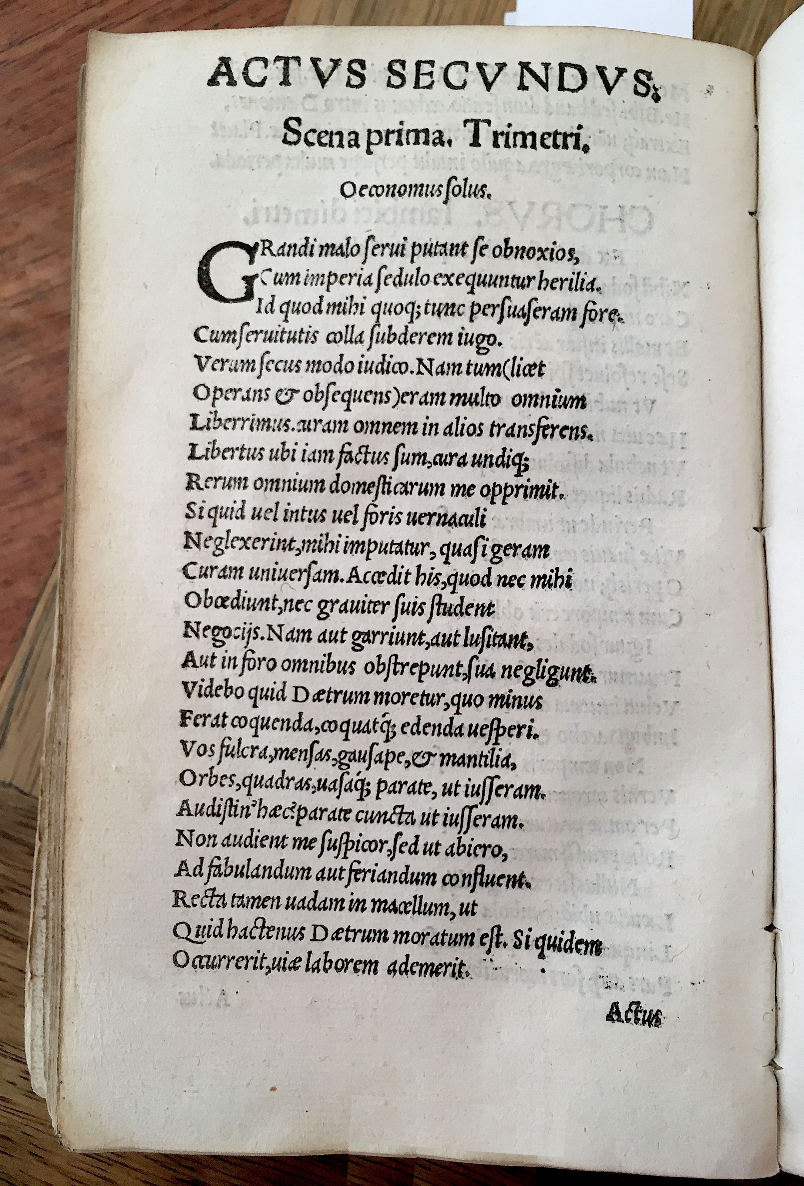 MacropediusHecastus1539p12