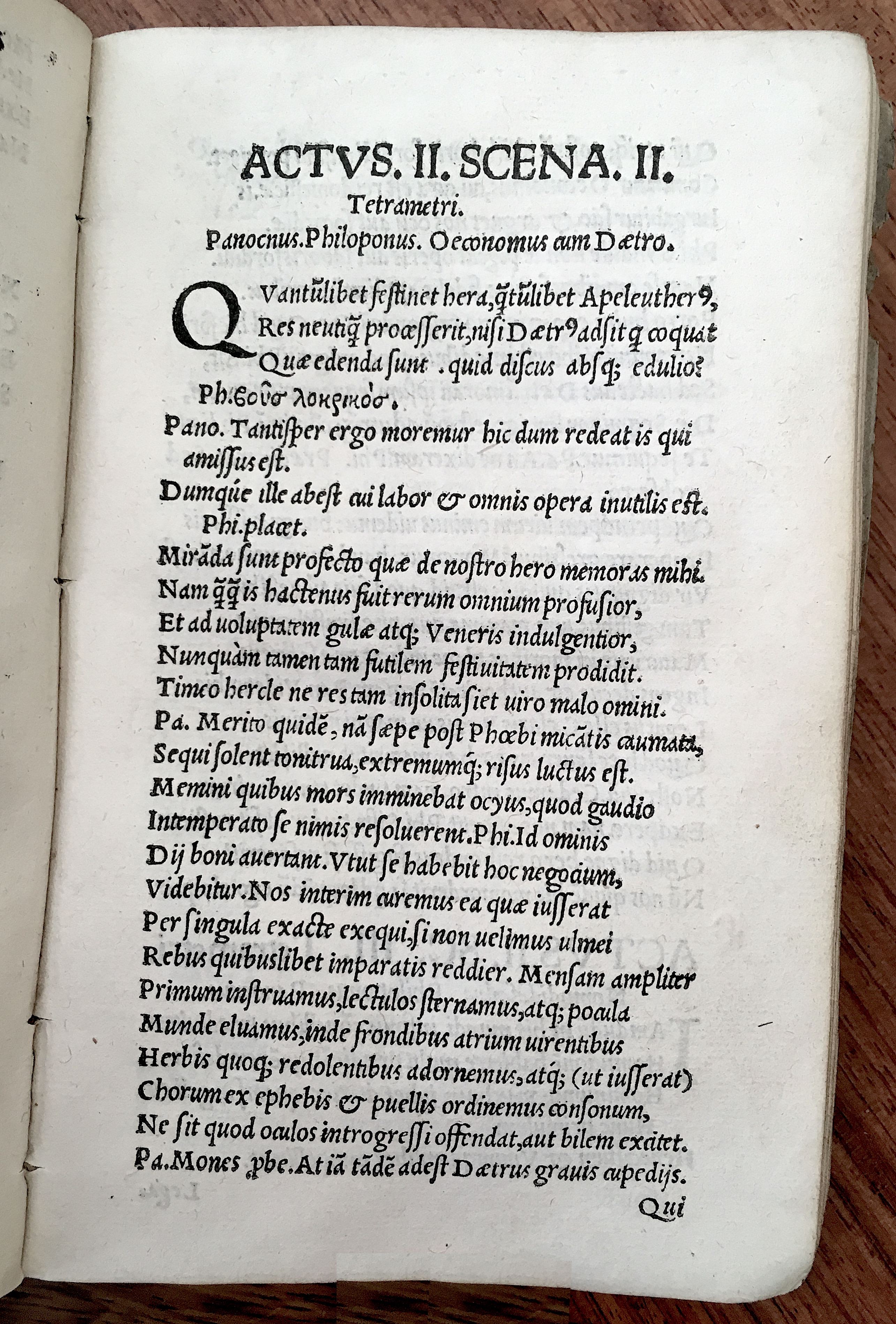 MacropediusHecastus1539p13