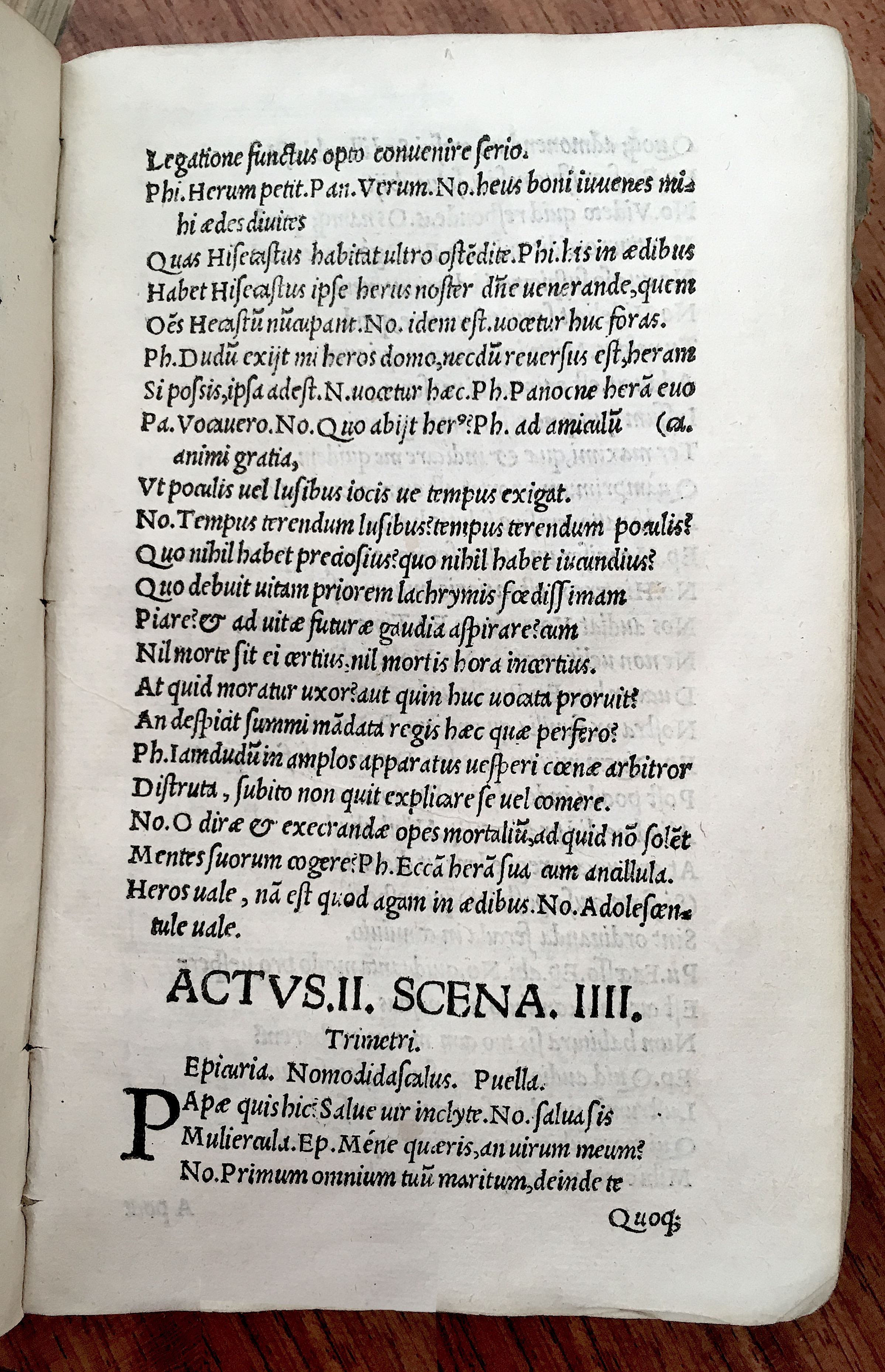 MacropediusHecastus1539p15