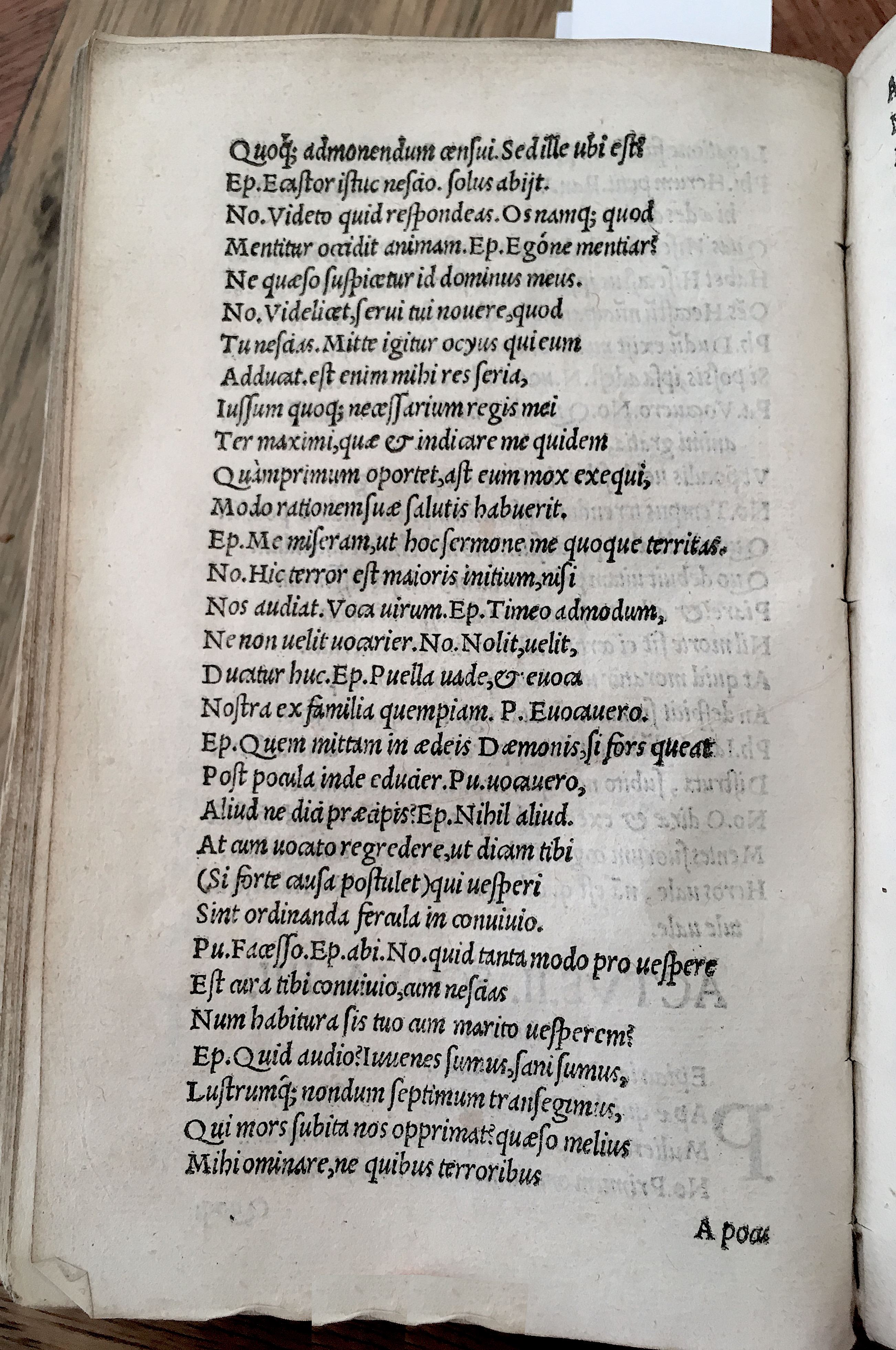 MacropediusHecastus1539p16