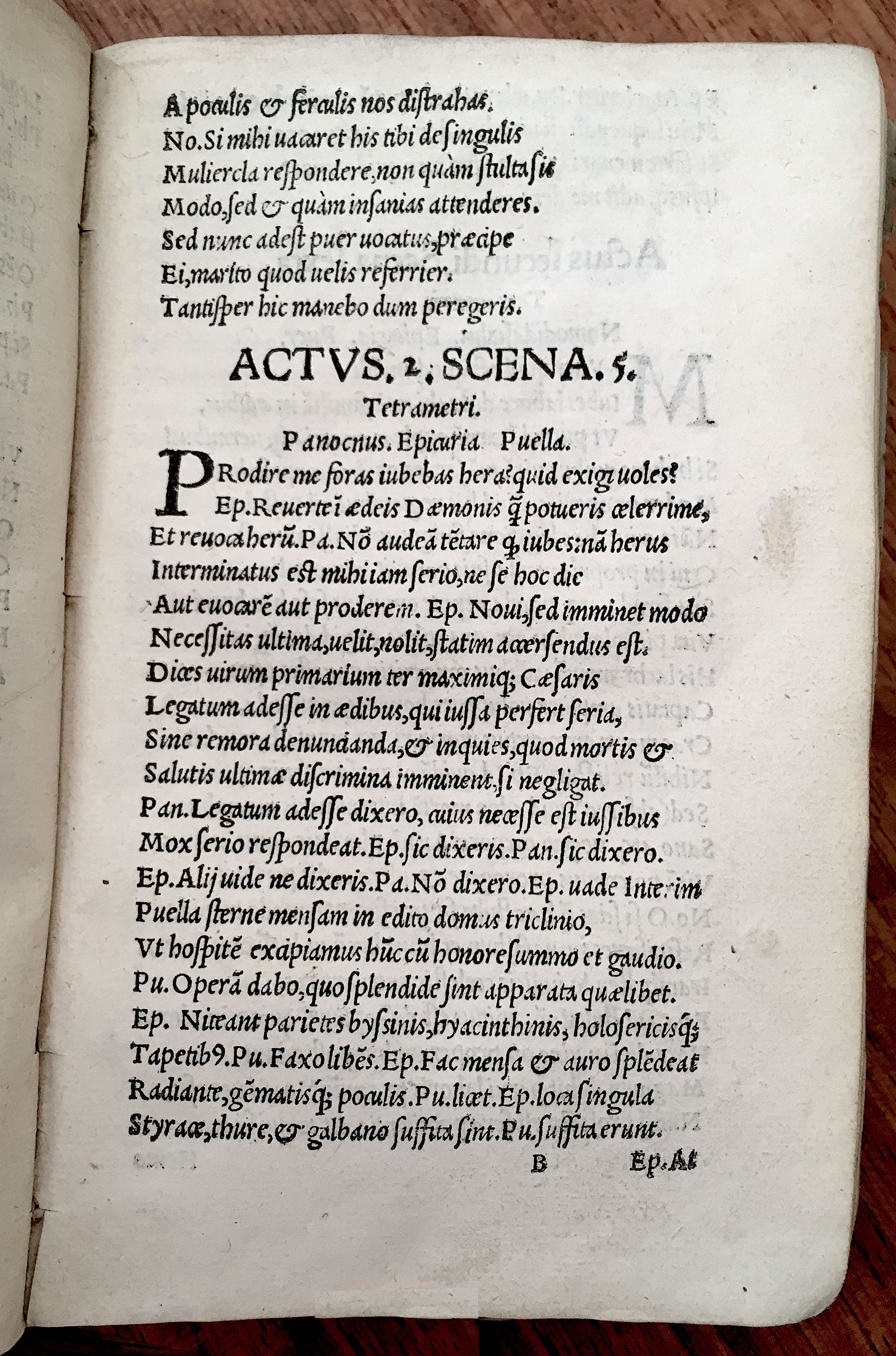 MacropediusHecastus1539p17